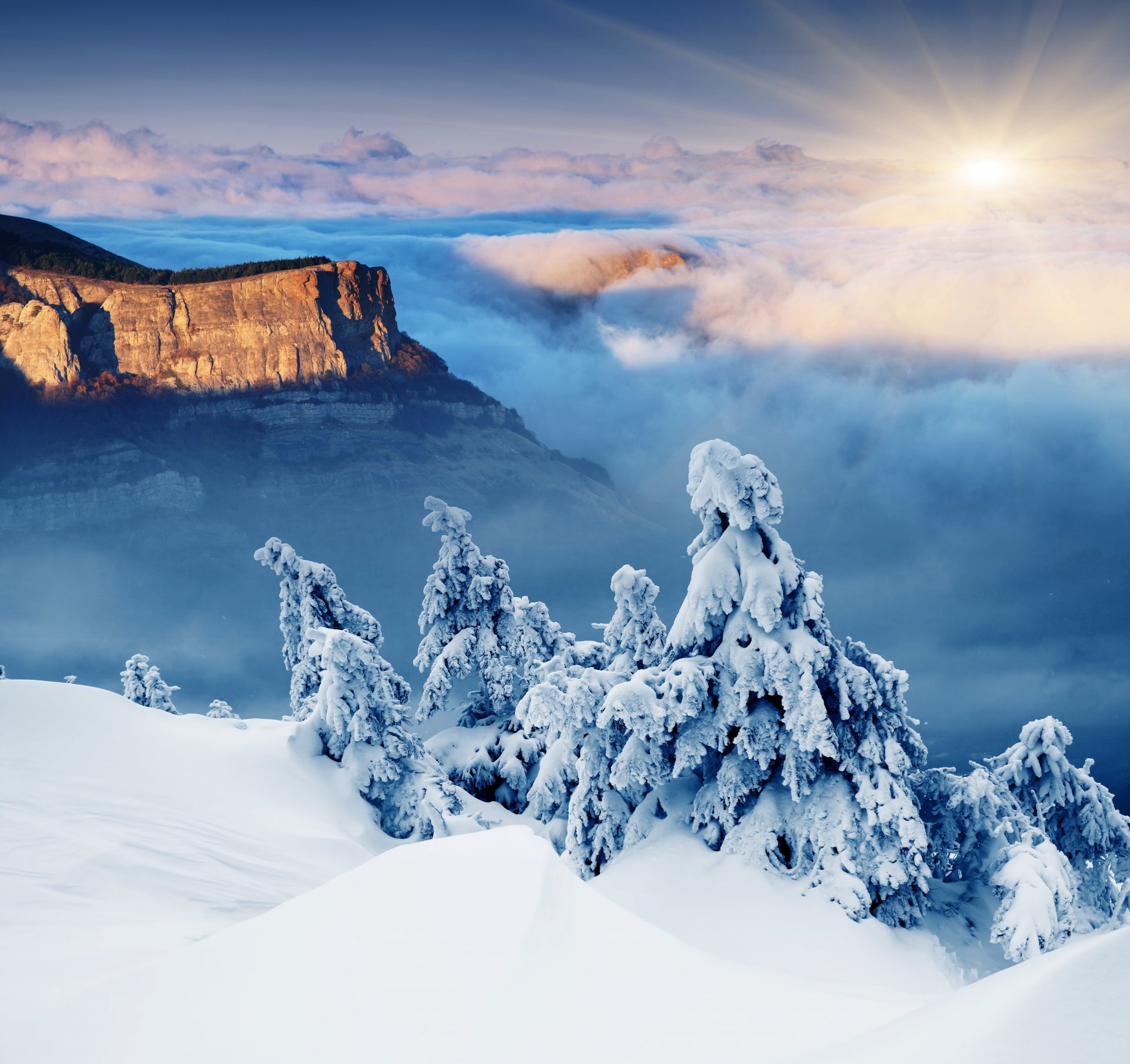 hiver paysage neige hiver arbres de noël soleil montagnes