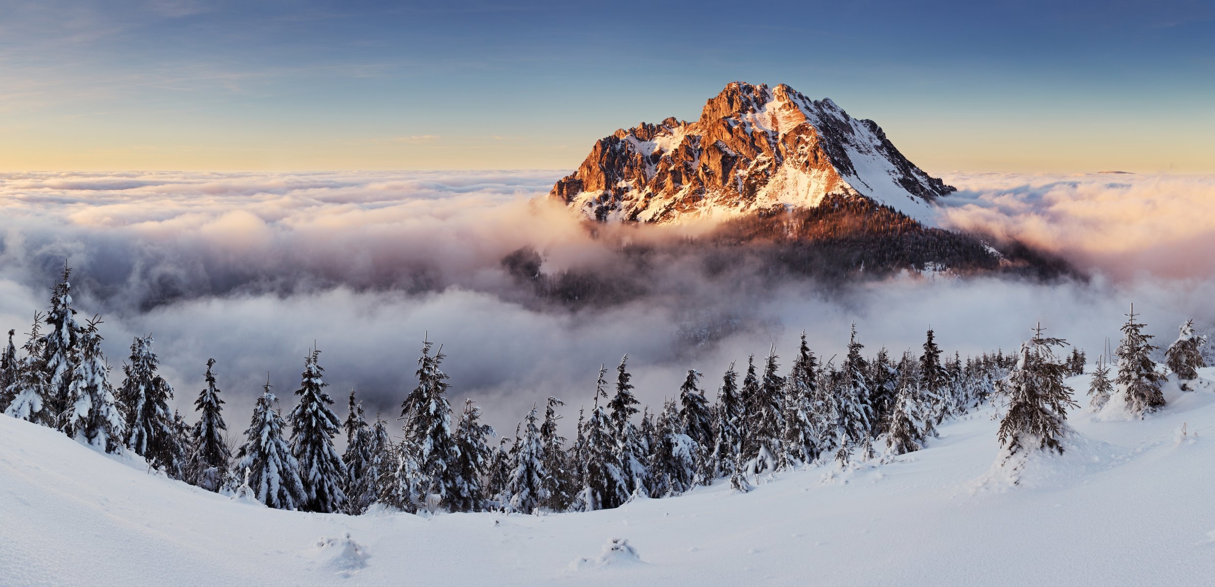 inverno paesaggio neve inverno montagna nebbia