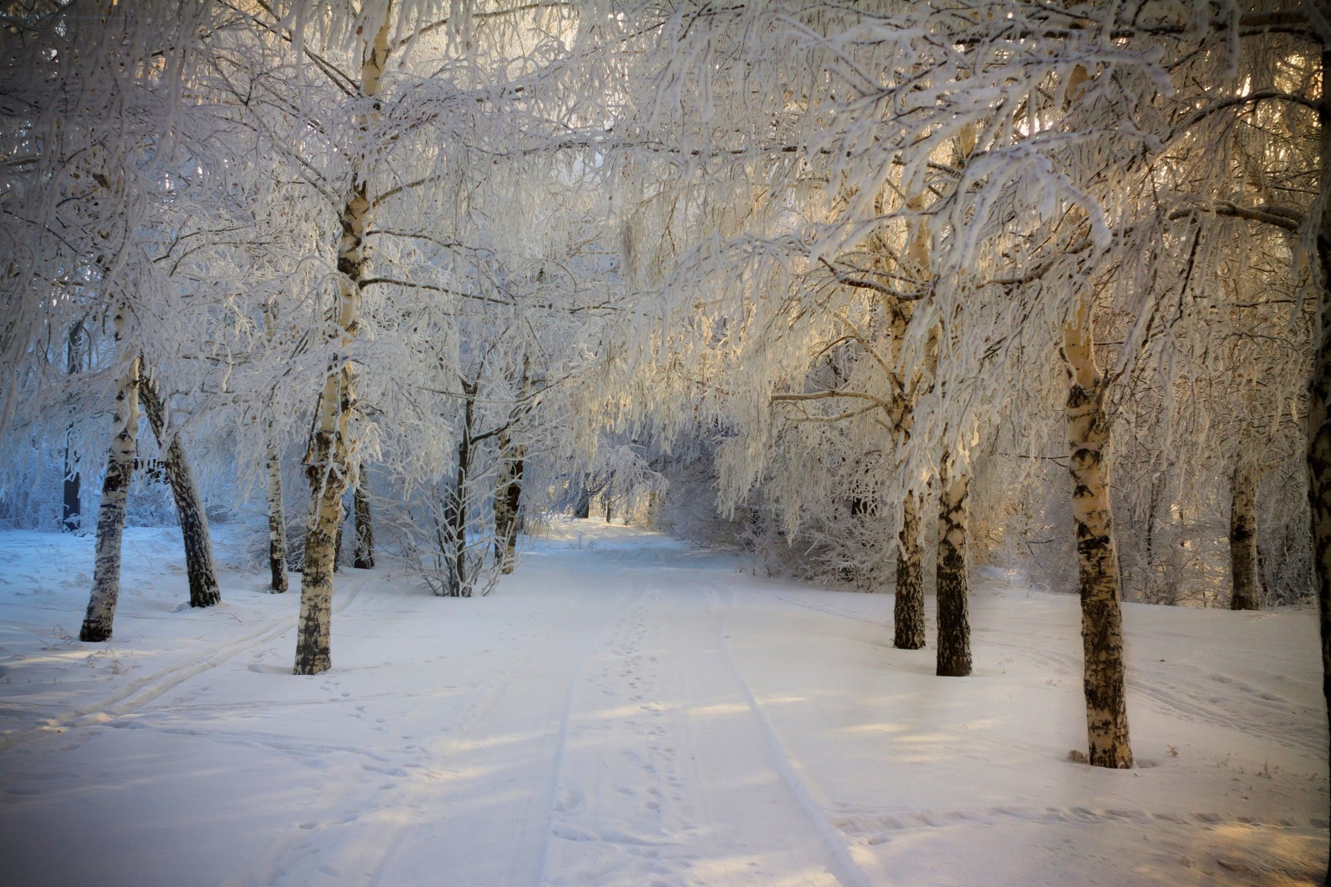 naturaleza invierno nieve carretera árboles bosque cielo paisaje invierno blanco fresco agradable