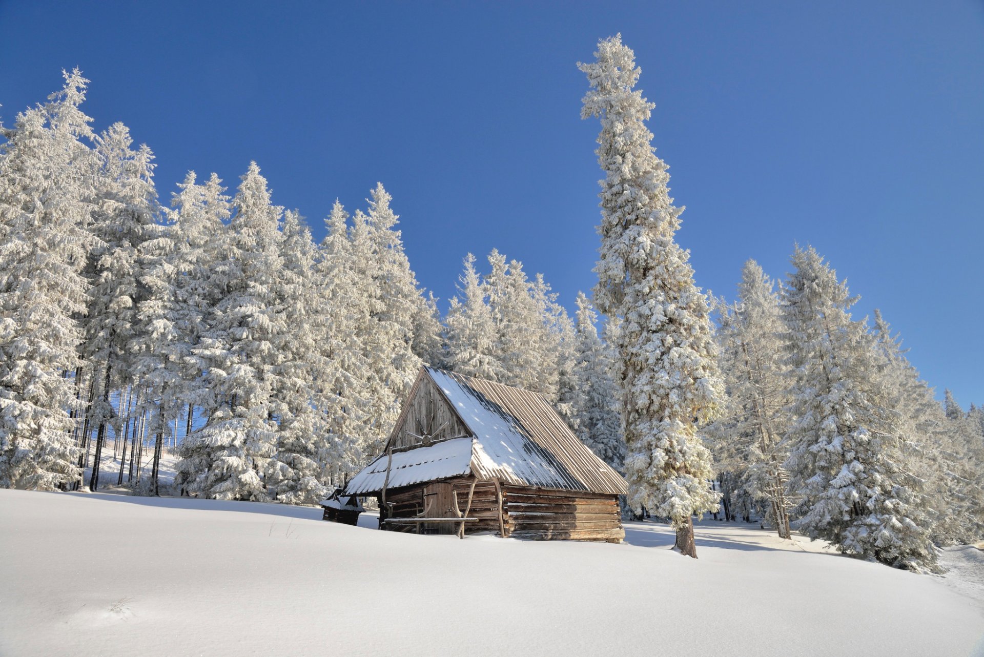 polonia invierno nieve sol granero