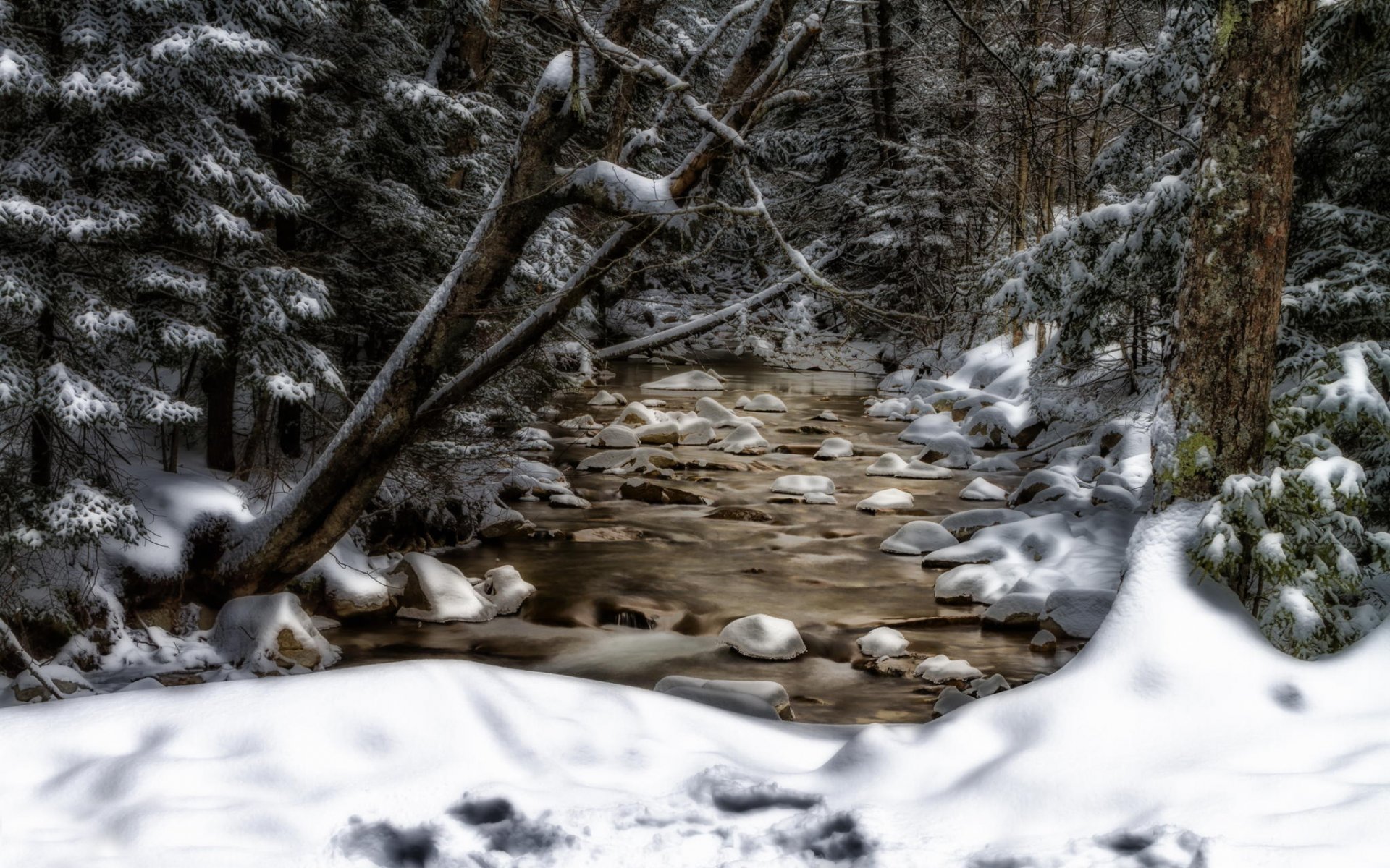 new hampshire ruscello alberi neve