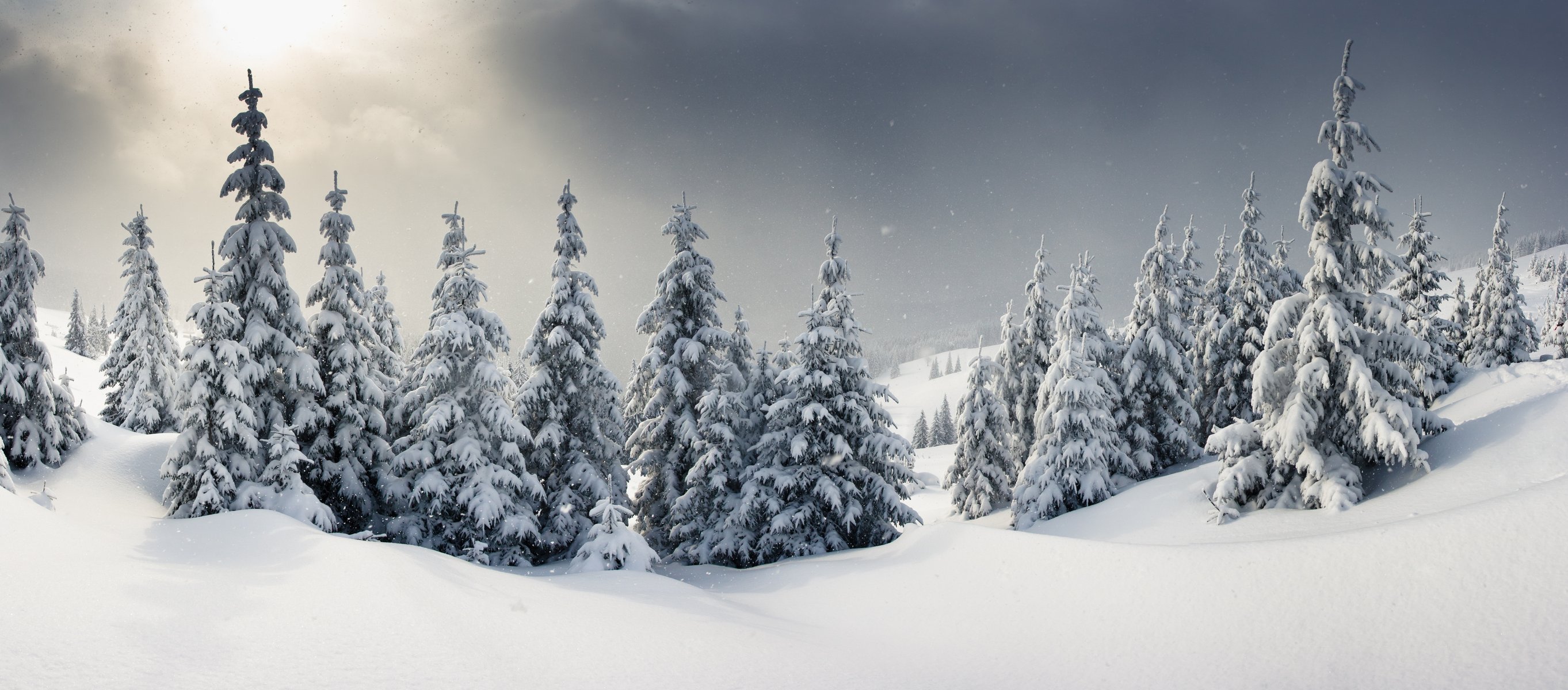 invierno paisaje nieve invierno árboles de navidad