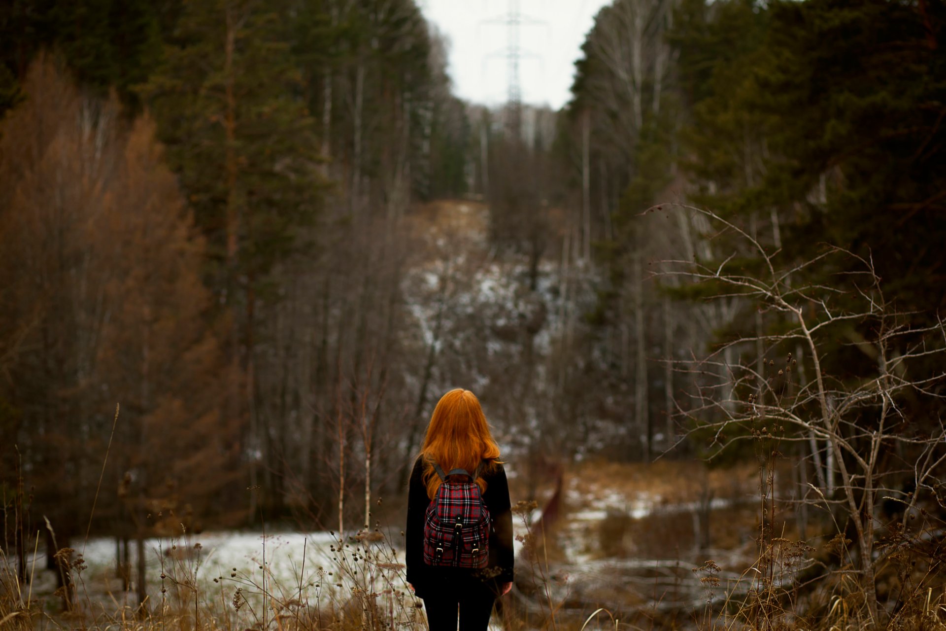 forêt automne.neige bokeh fille rousse