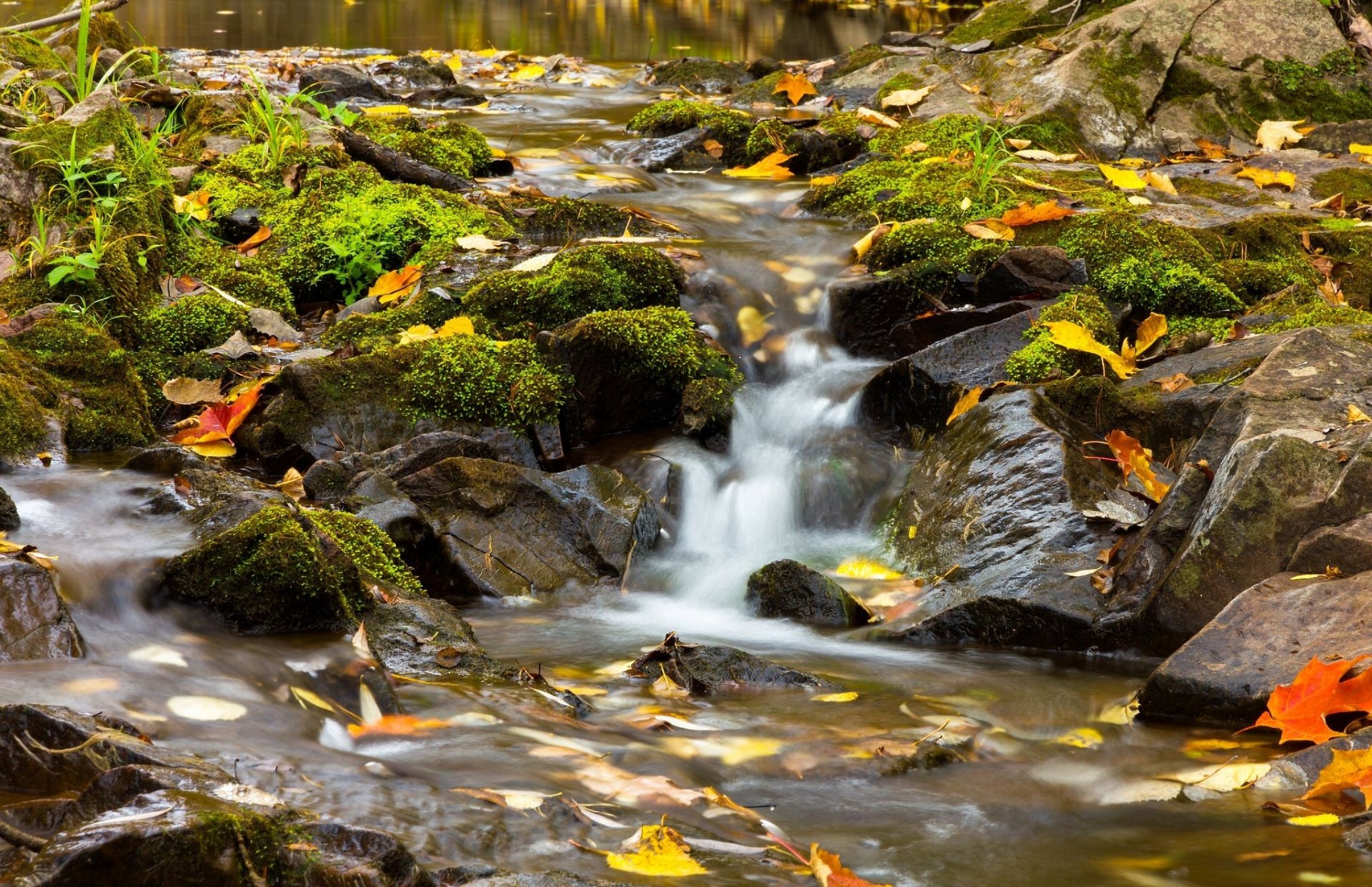 cordialità creek leicester park duluth minnesota ruscello fiume pietre foglie autunno