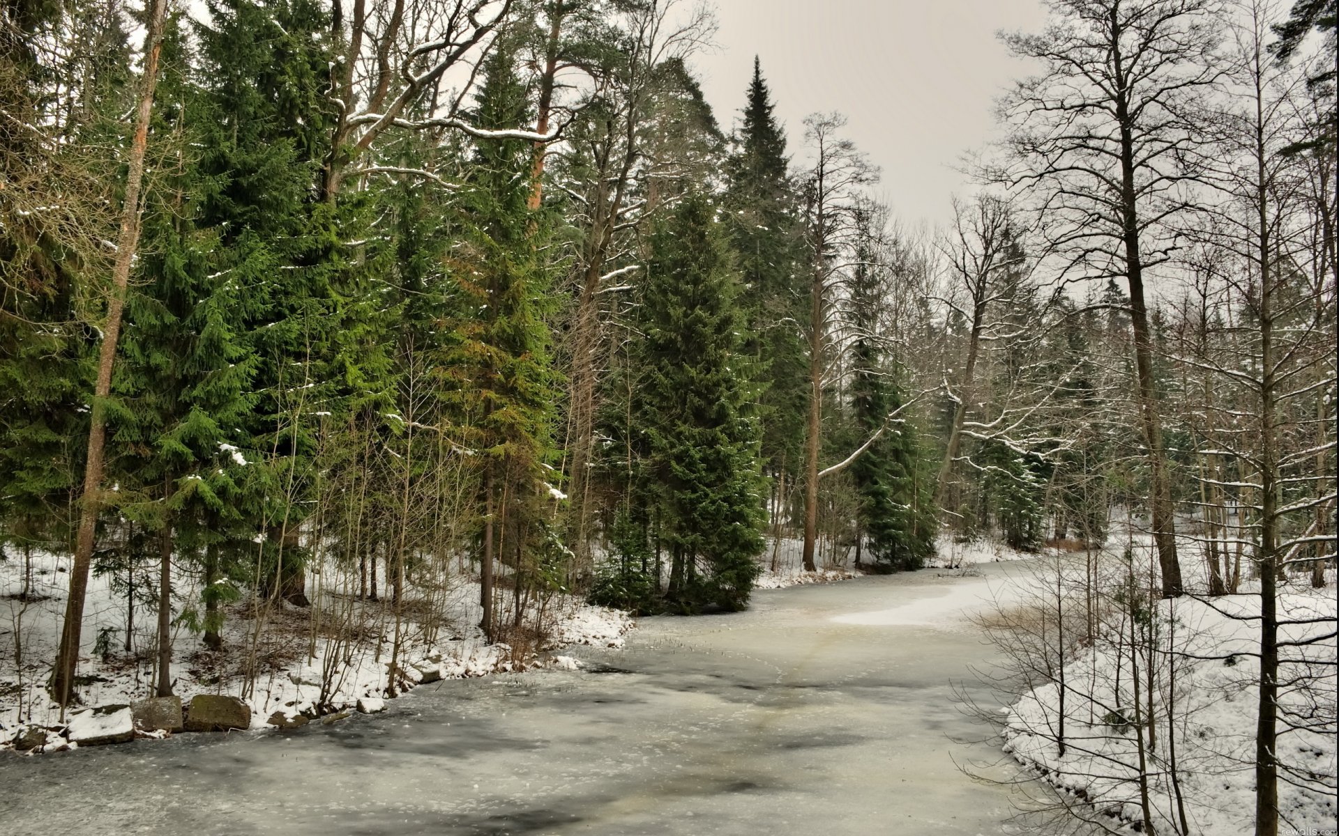 winter wald fluss