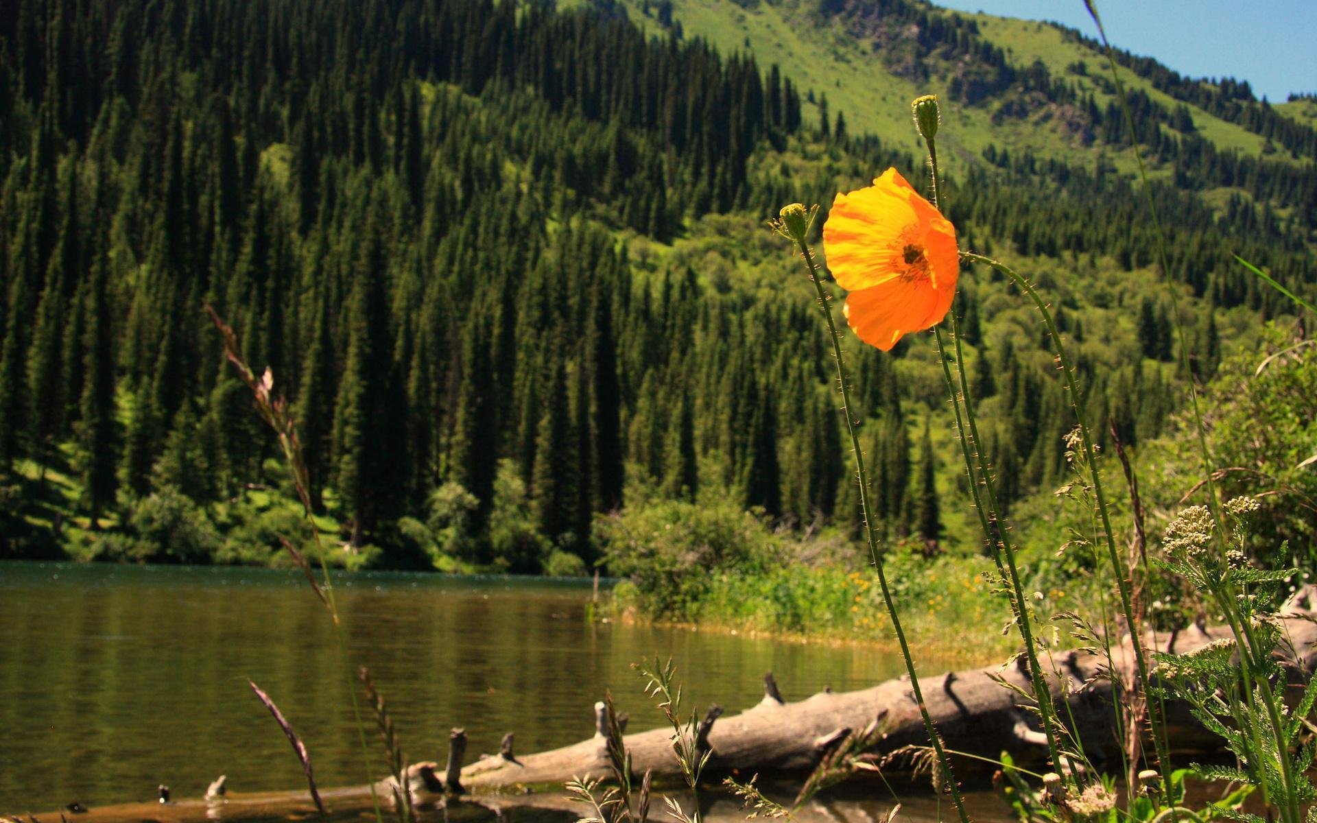 lago kolsay almaty kazajstán