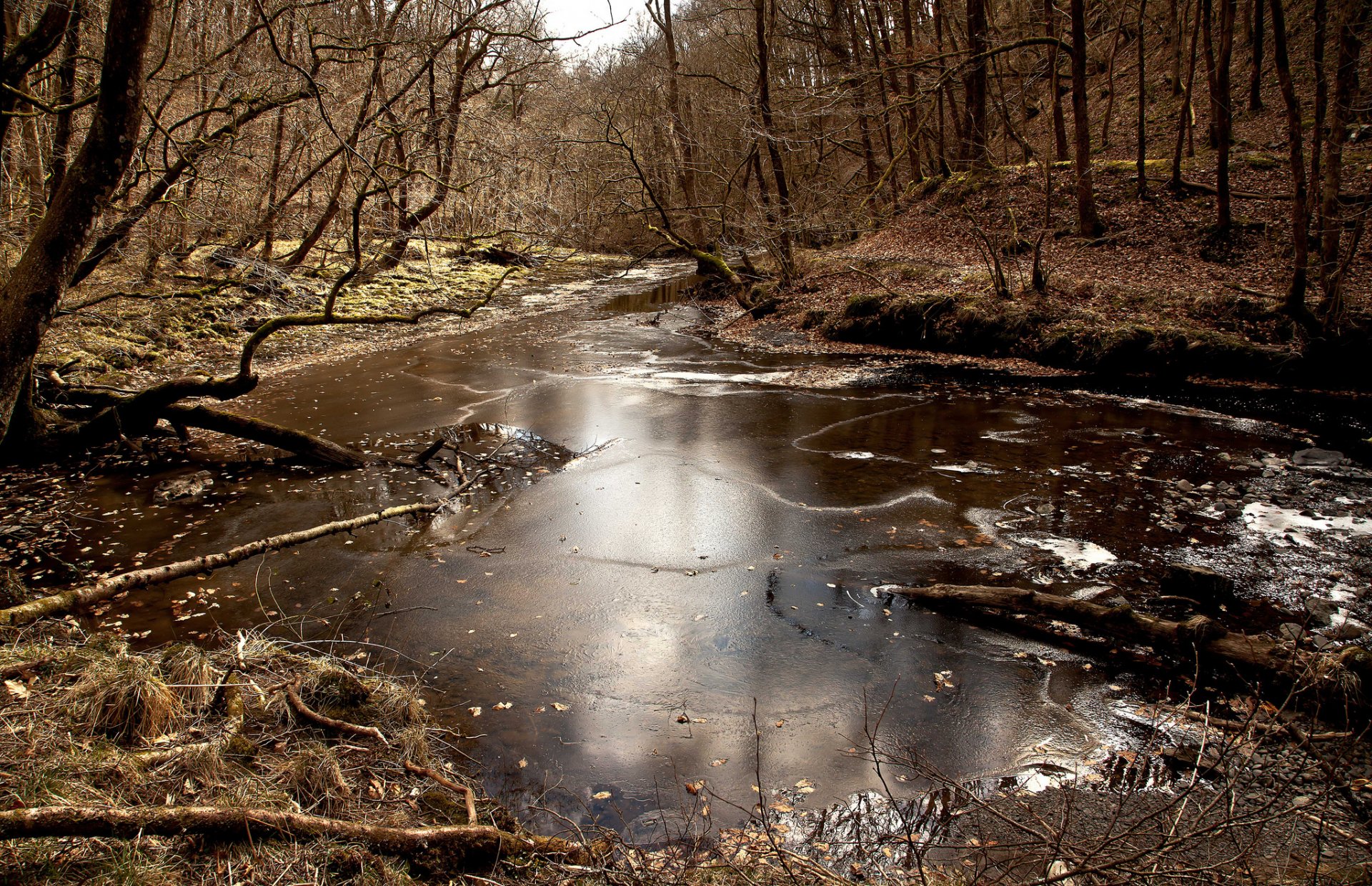 bosque río hielo otoño tarde