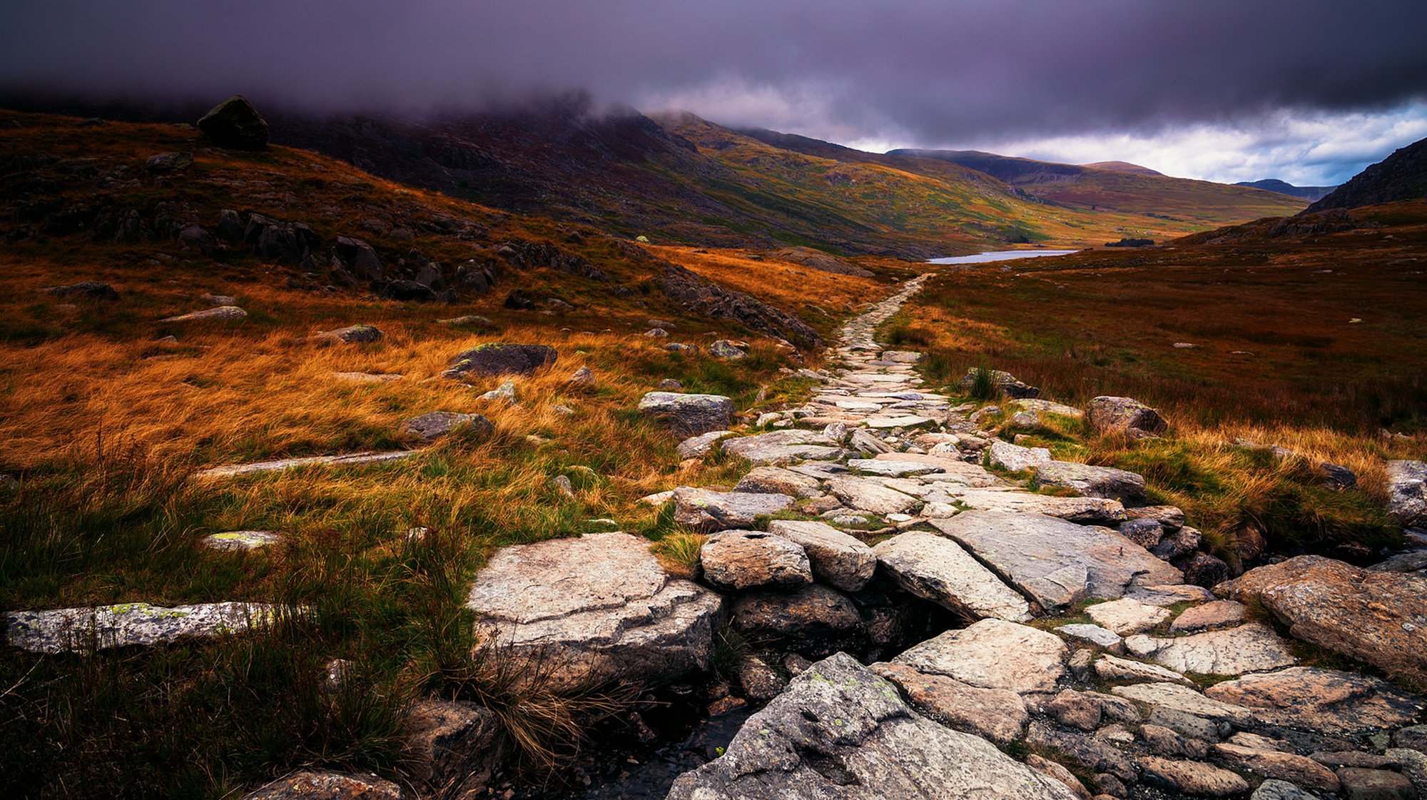 wales großbritannien halbinsel natur herbst steine weg nebel wolken gras gelb