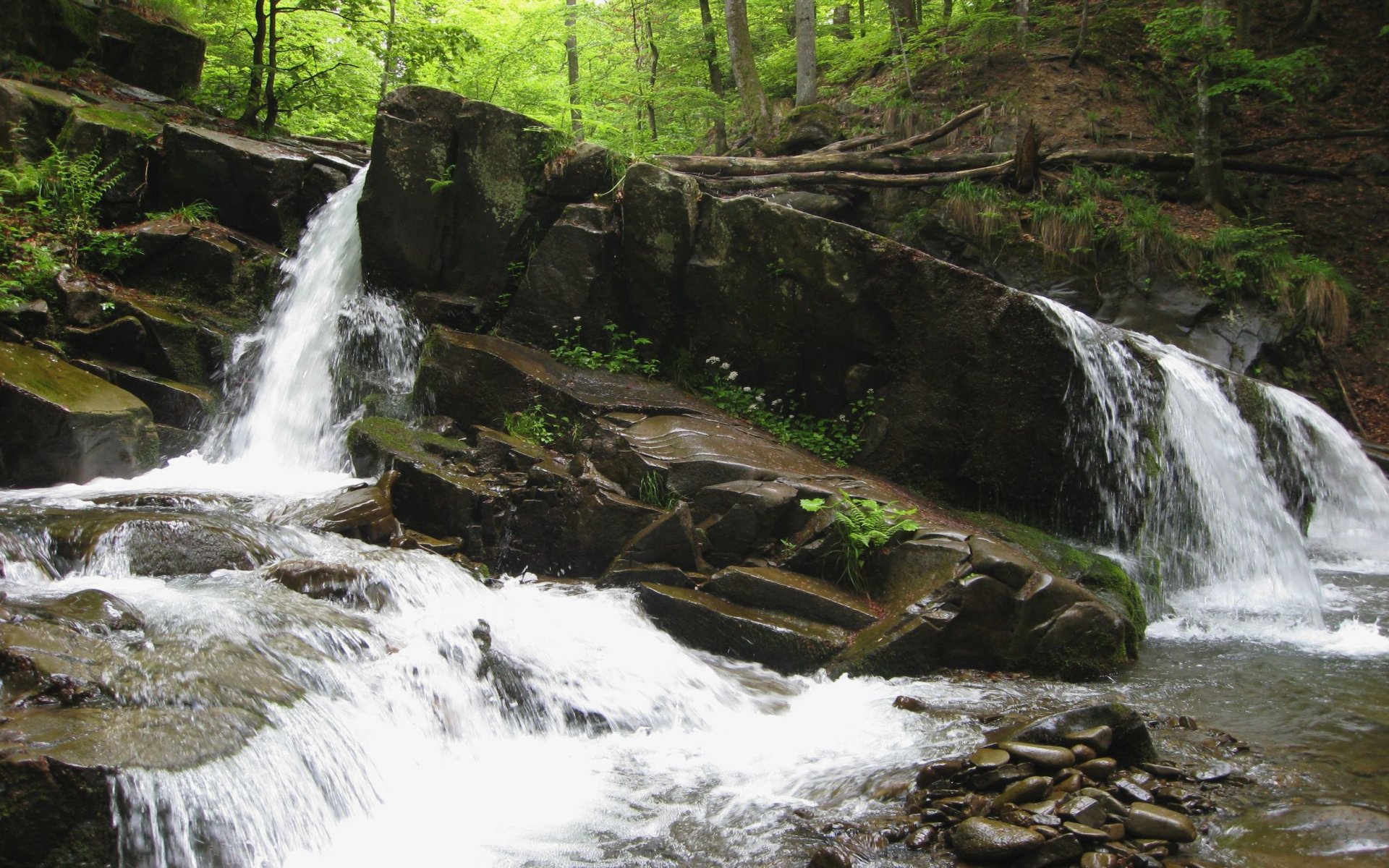 ucrania transcarpacia cascada ruiseñor