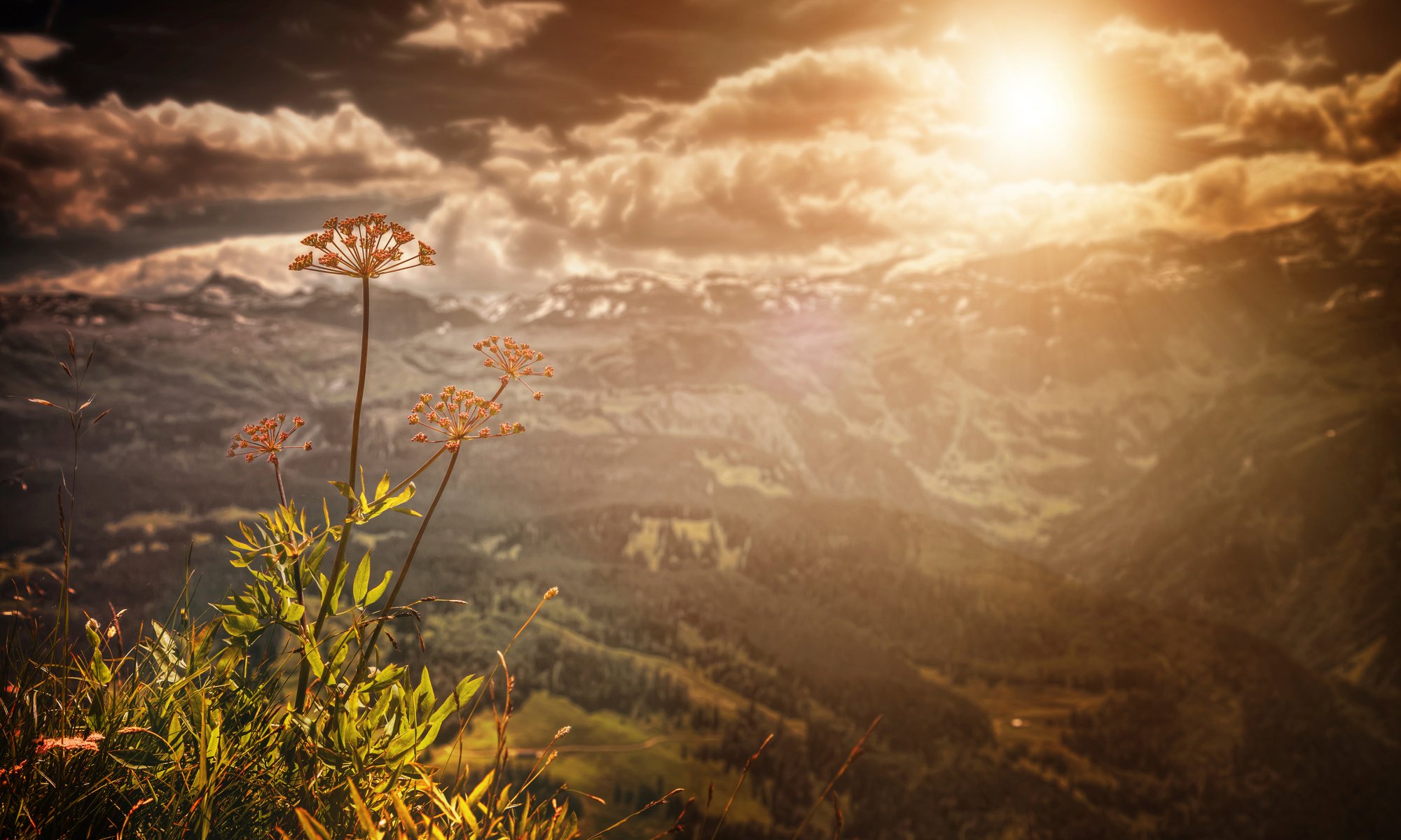 montagnes paysage soleil vue traitement