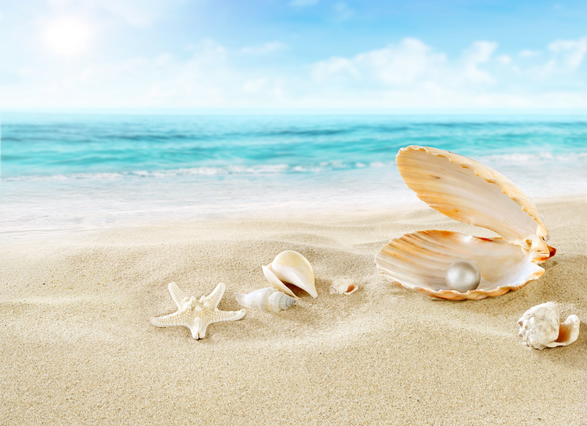 nature sea beach clouds sand shells starfish pearl