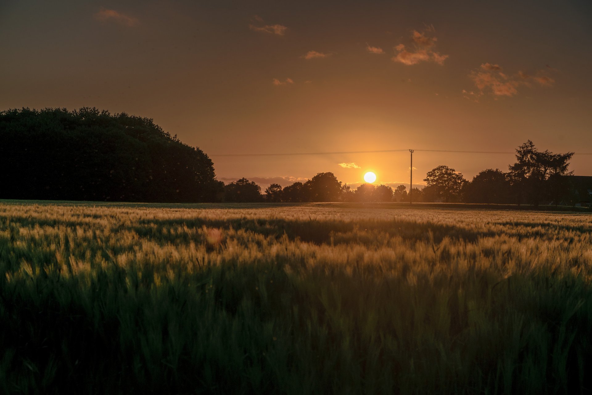 campo alberi mattina sole alba alba cielo nuvole