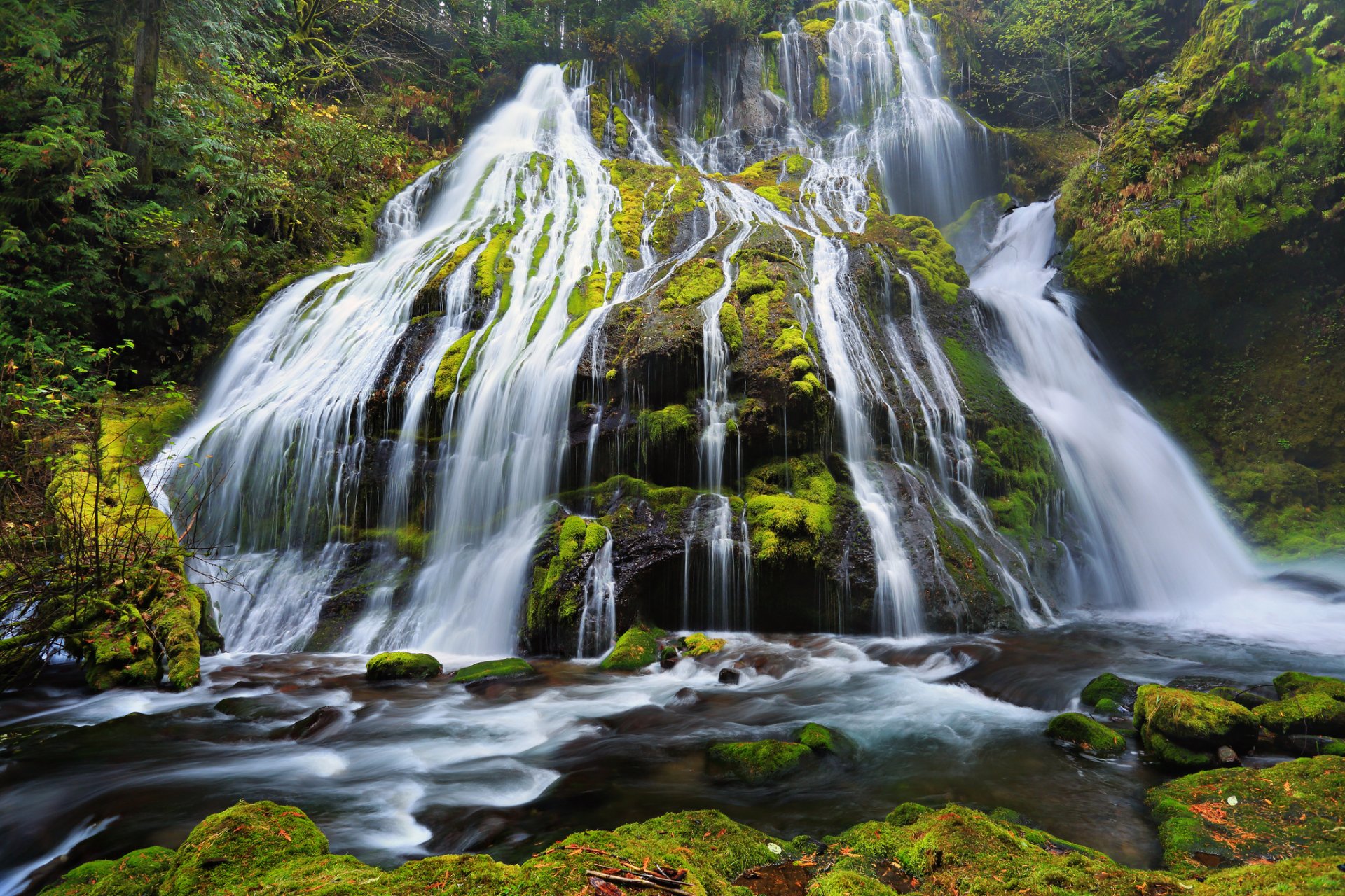 pantera creek falls wąwóz rzeki columbia oregon skały mech