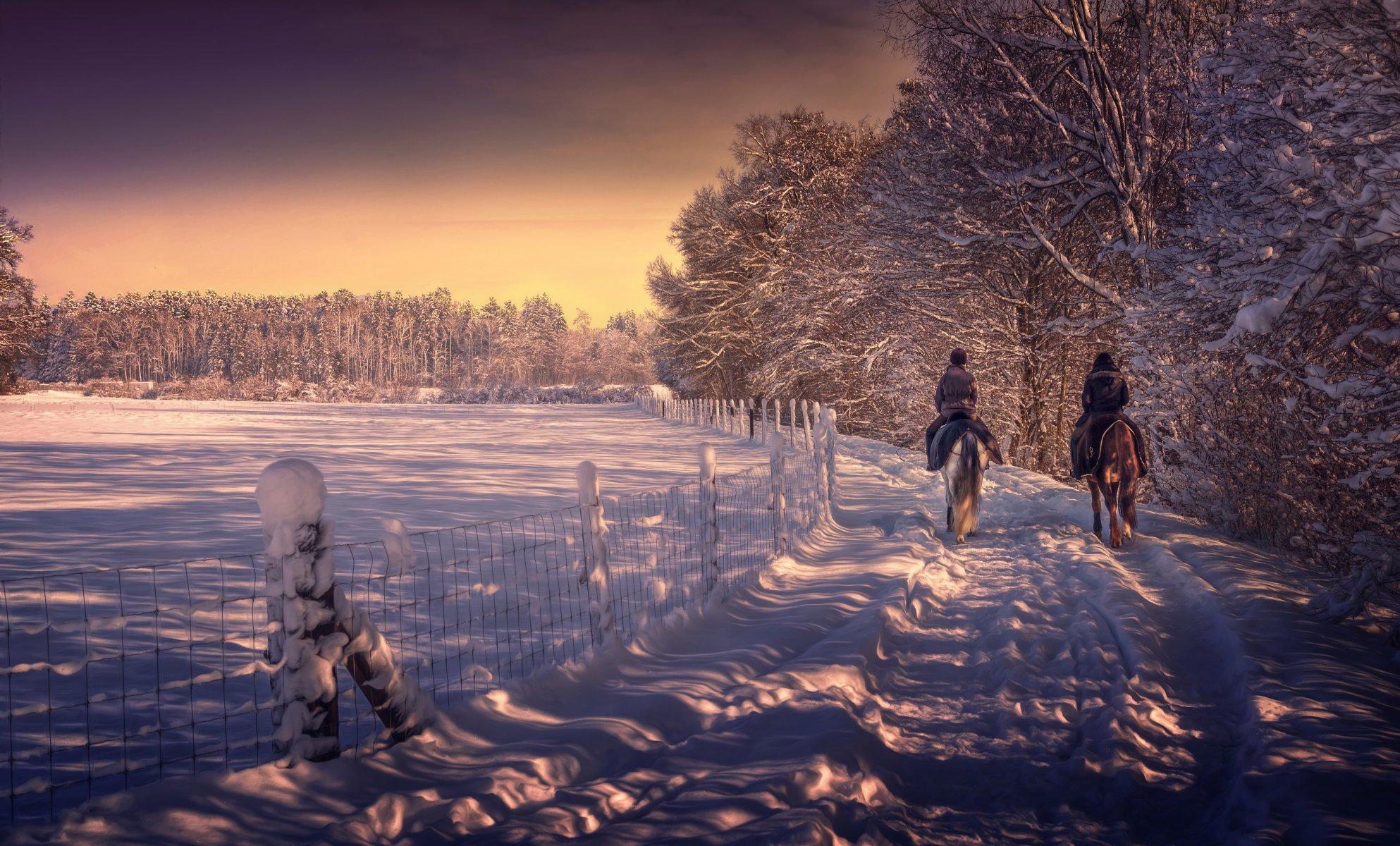 winter schnee reitspaziergang verarbeitung