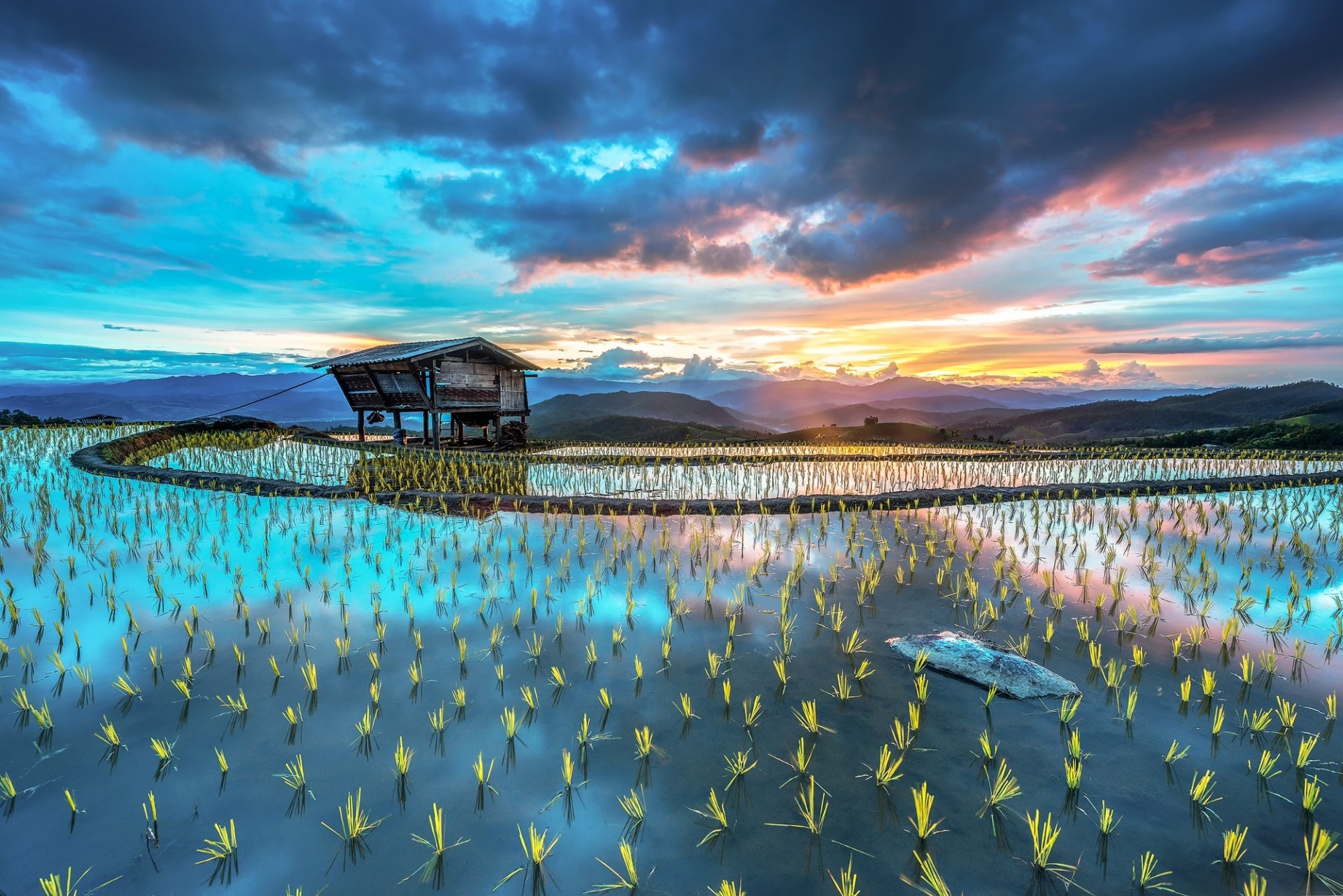 asie plantation riz cabane