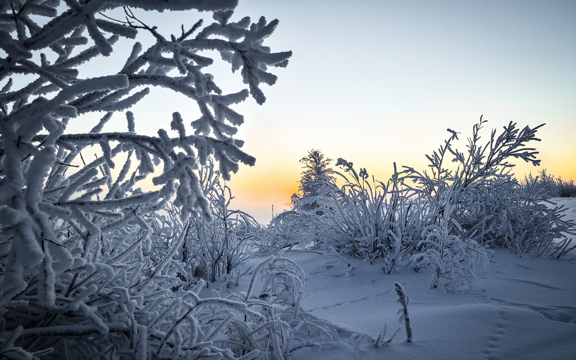 invierno nieve paisaje