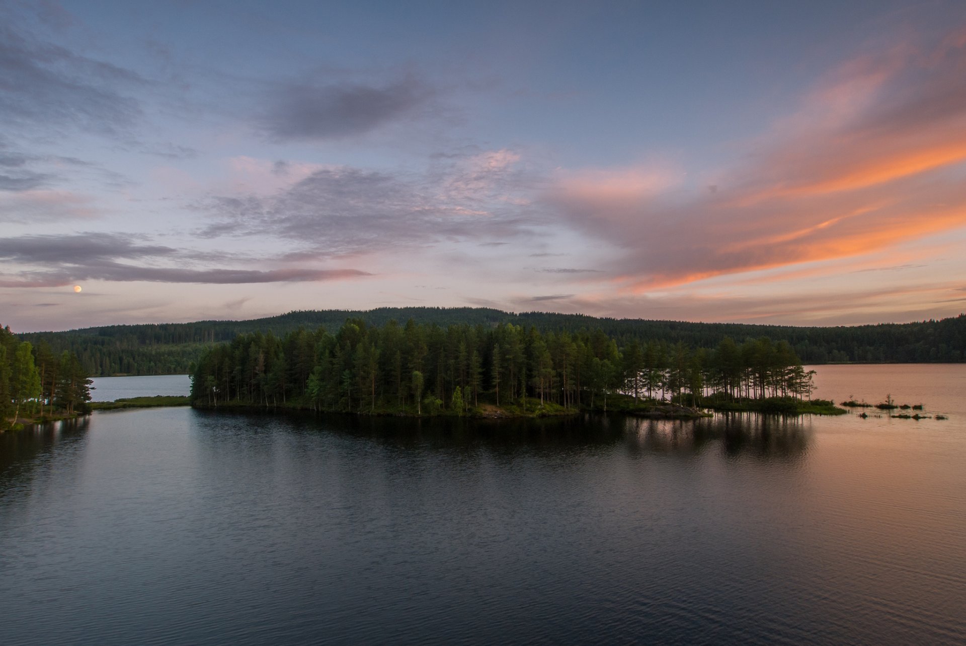 forêt lac île matin aube