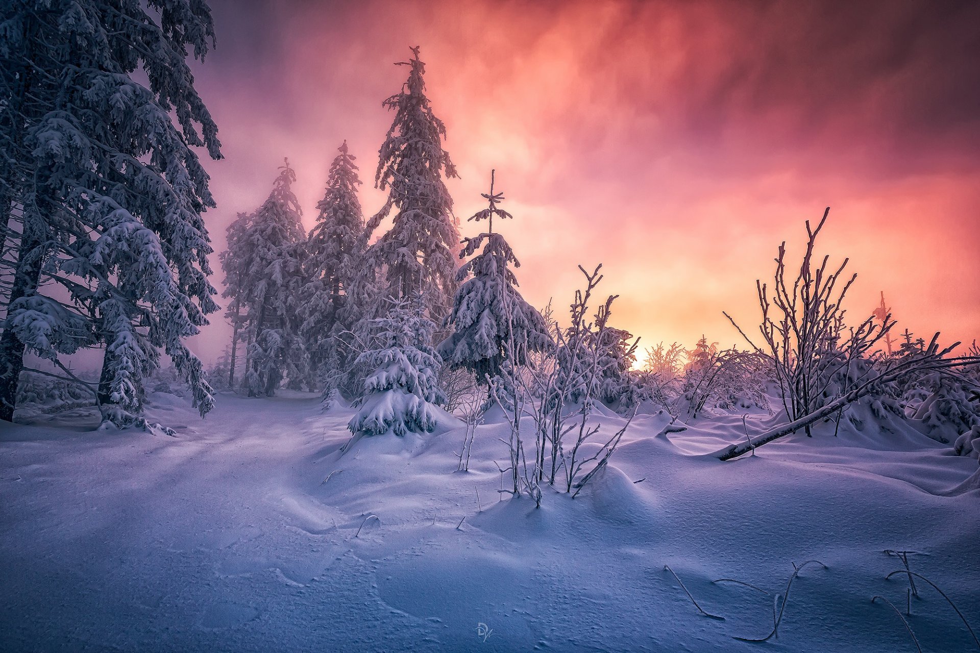 suroeste de alemania baden-württemberg selva negra nieve bosque mañana