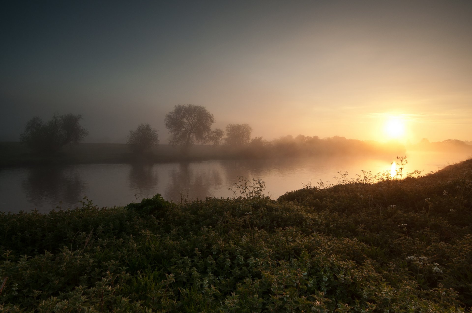 árboles río mañana niebla amanecer verano