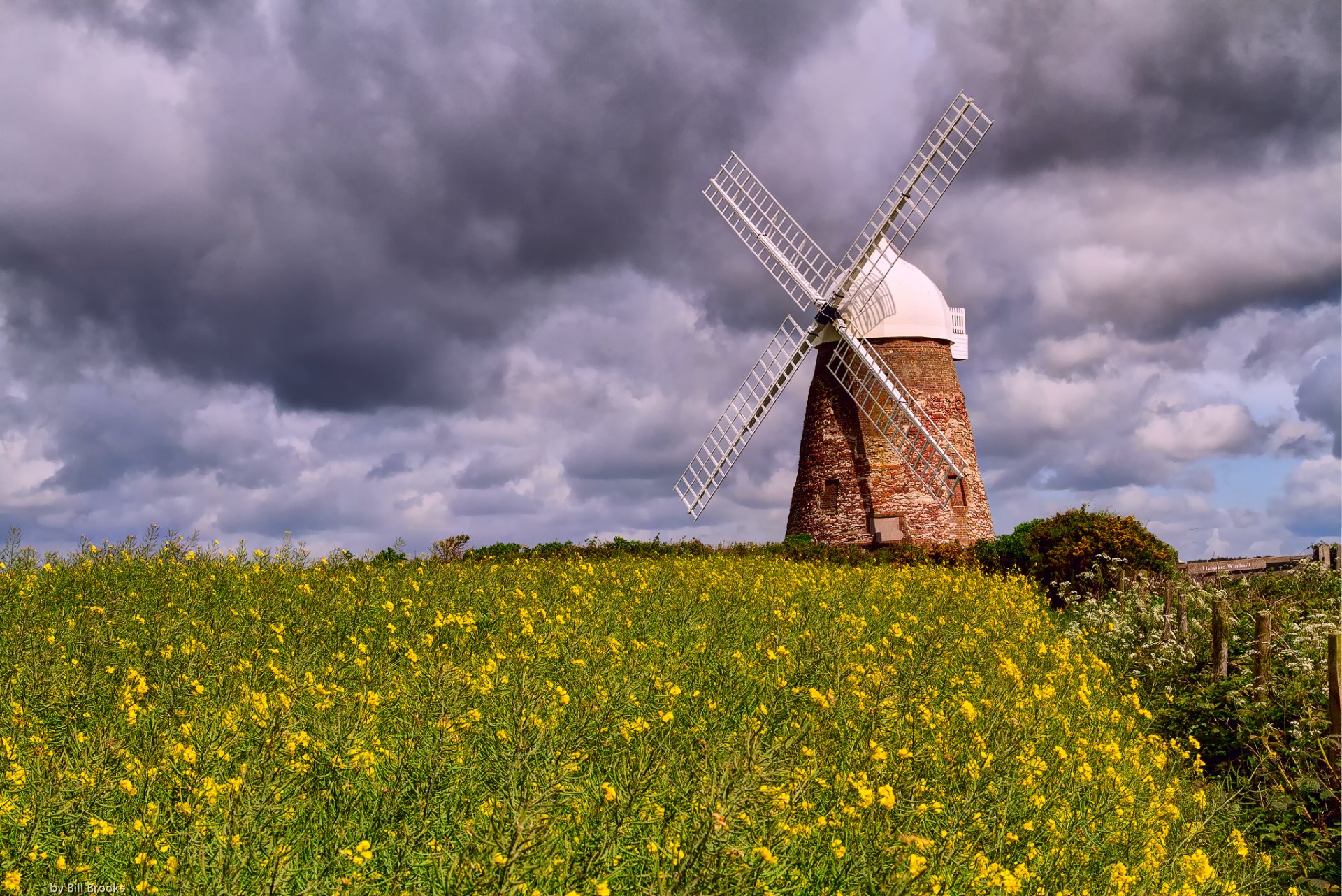 nature moulin à vent champ fleurs colza ciel nuages nuages