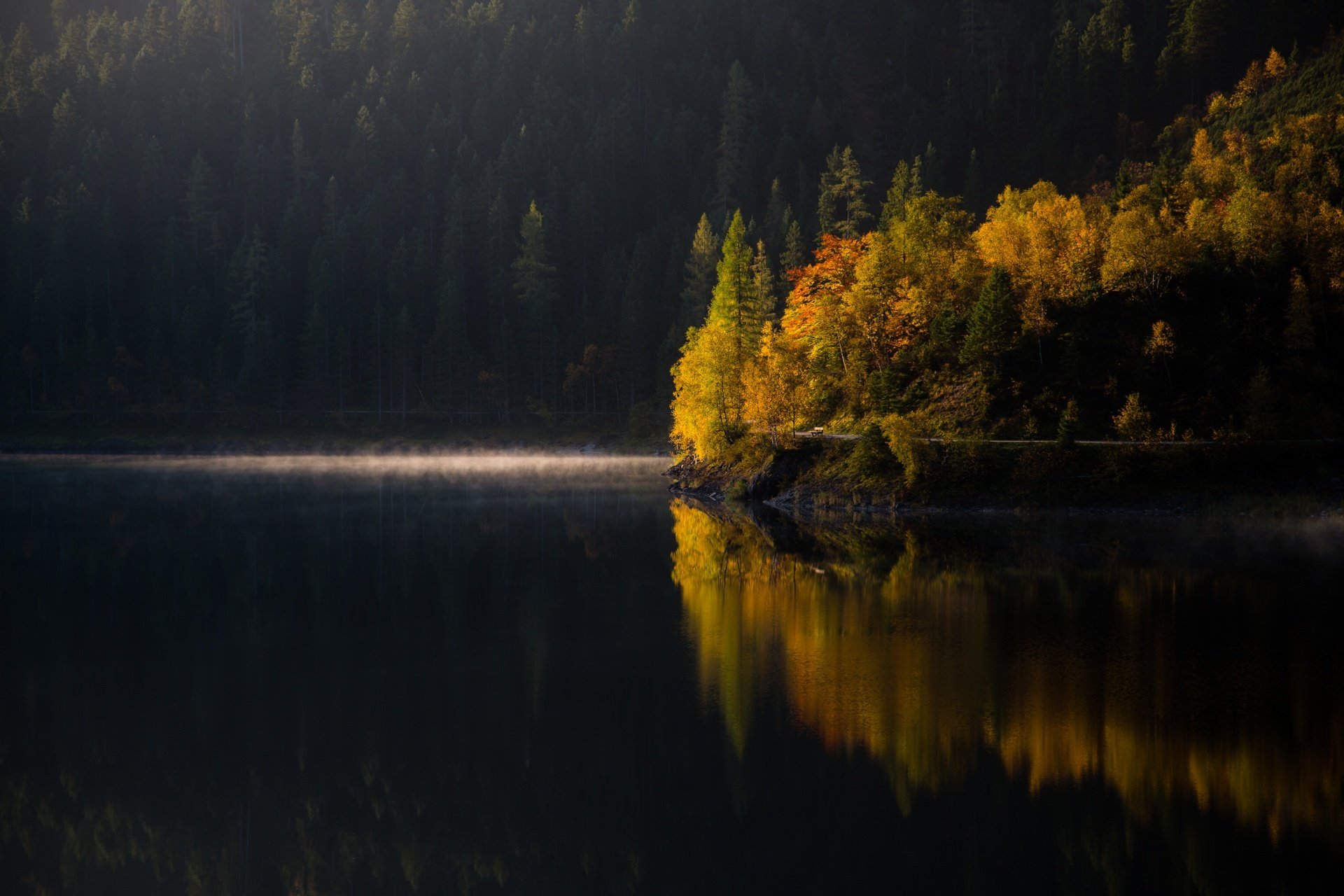 lac forêt arbres matin automne