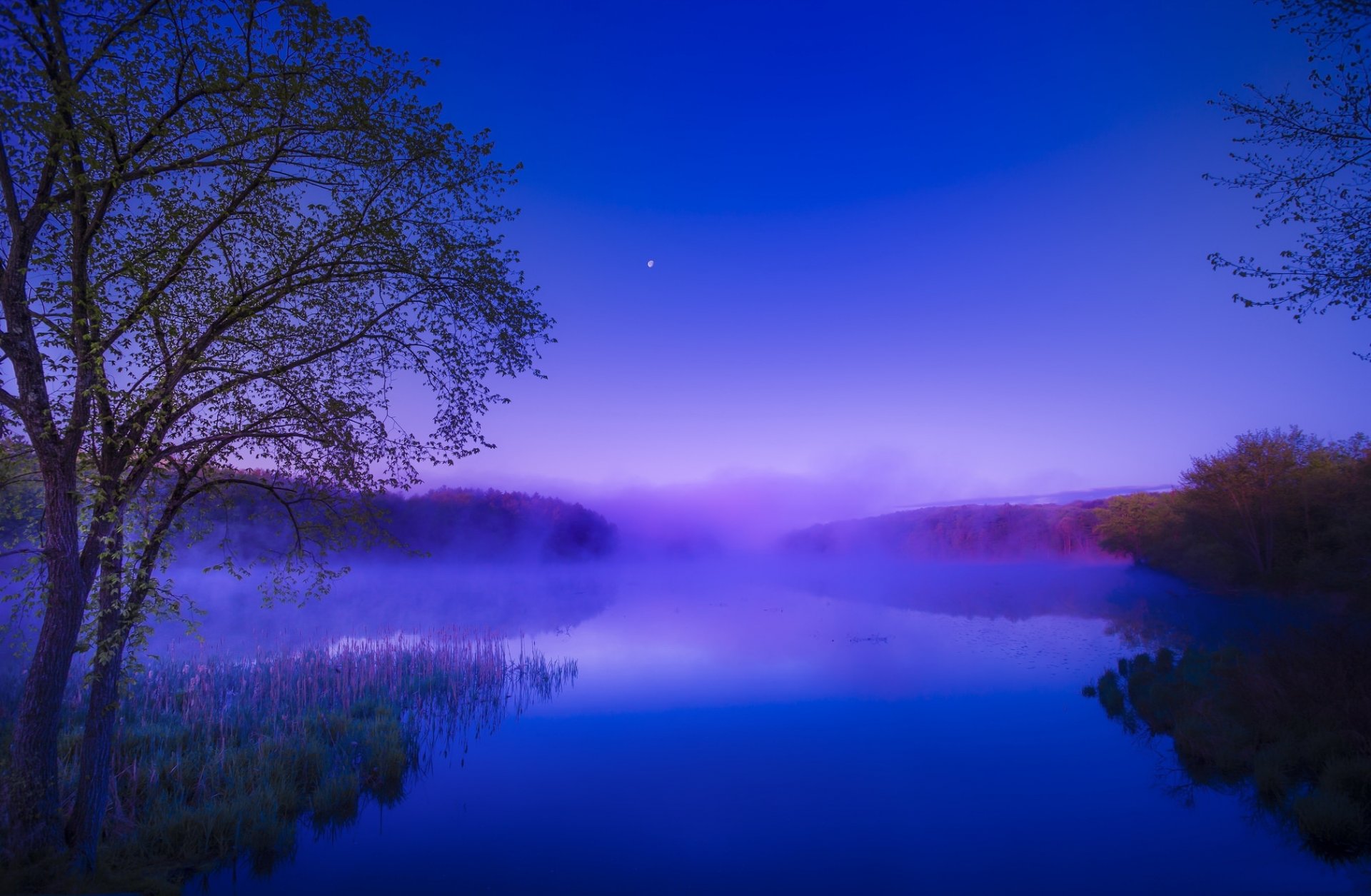 bosque río mañana amanecer niebla verano