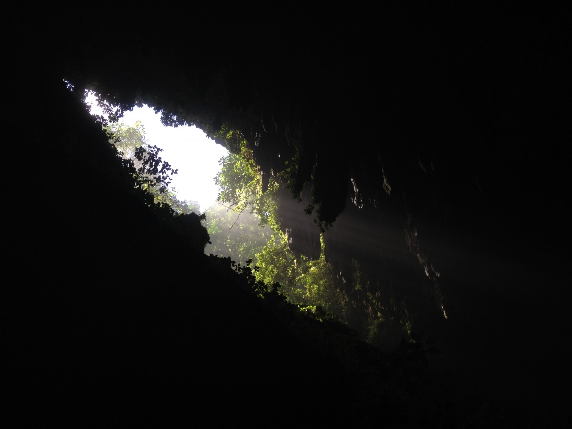 oscuro garganta cueva agujero verde