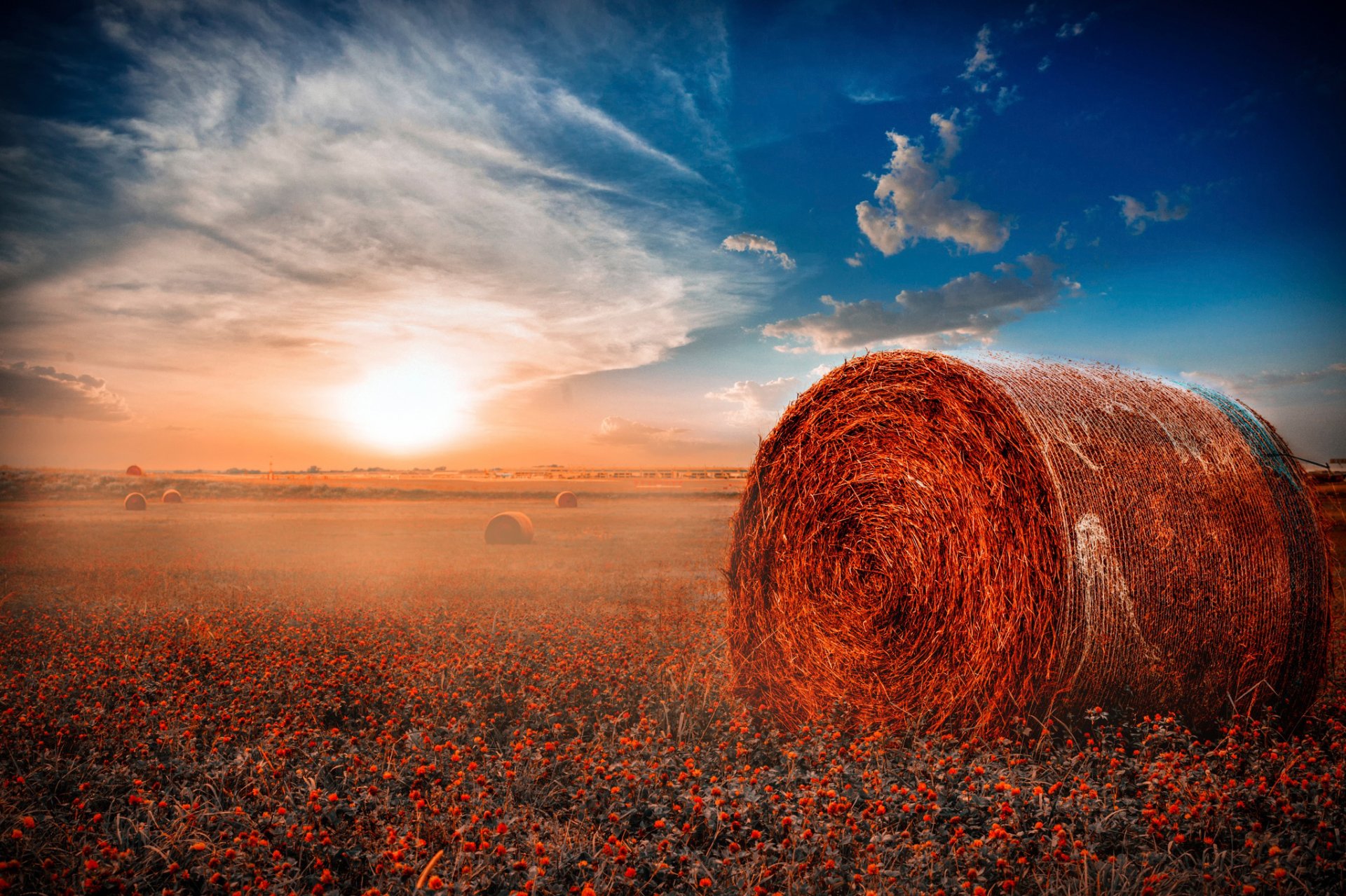 misty morning the field hay roll