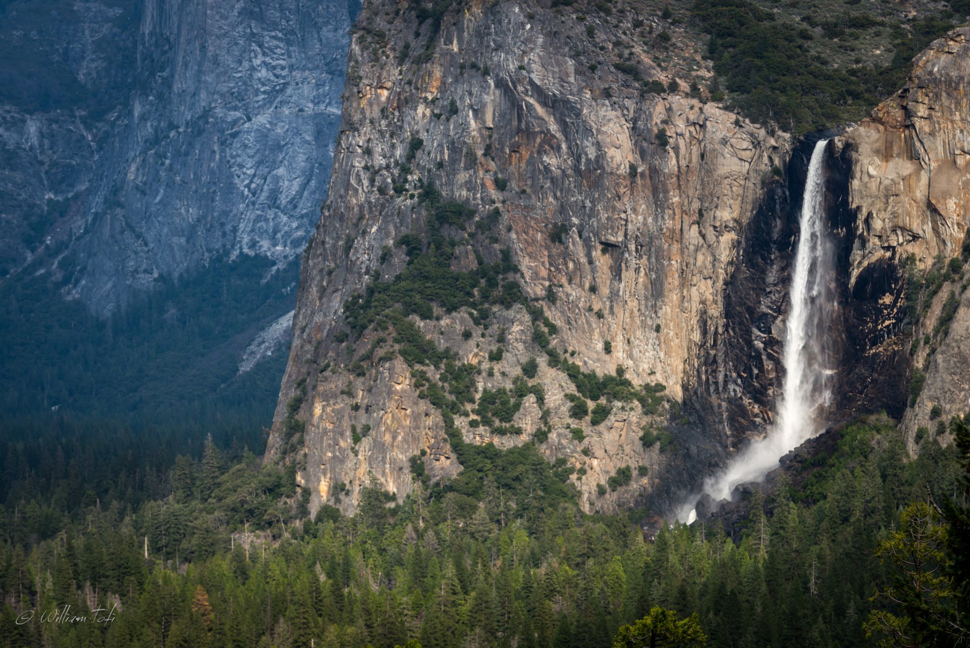 bridalveil falls foresta montagna yosemite stati uniti parco nazionale di yosemite