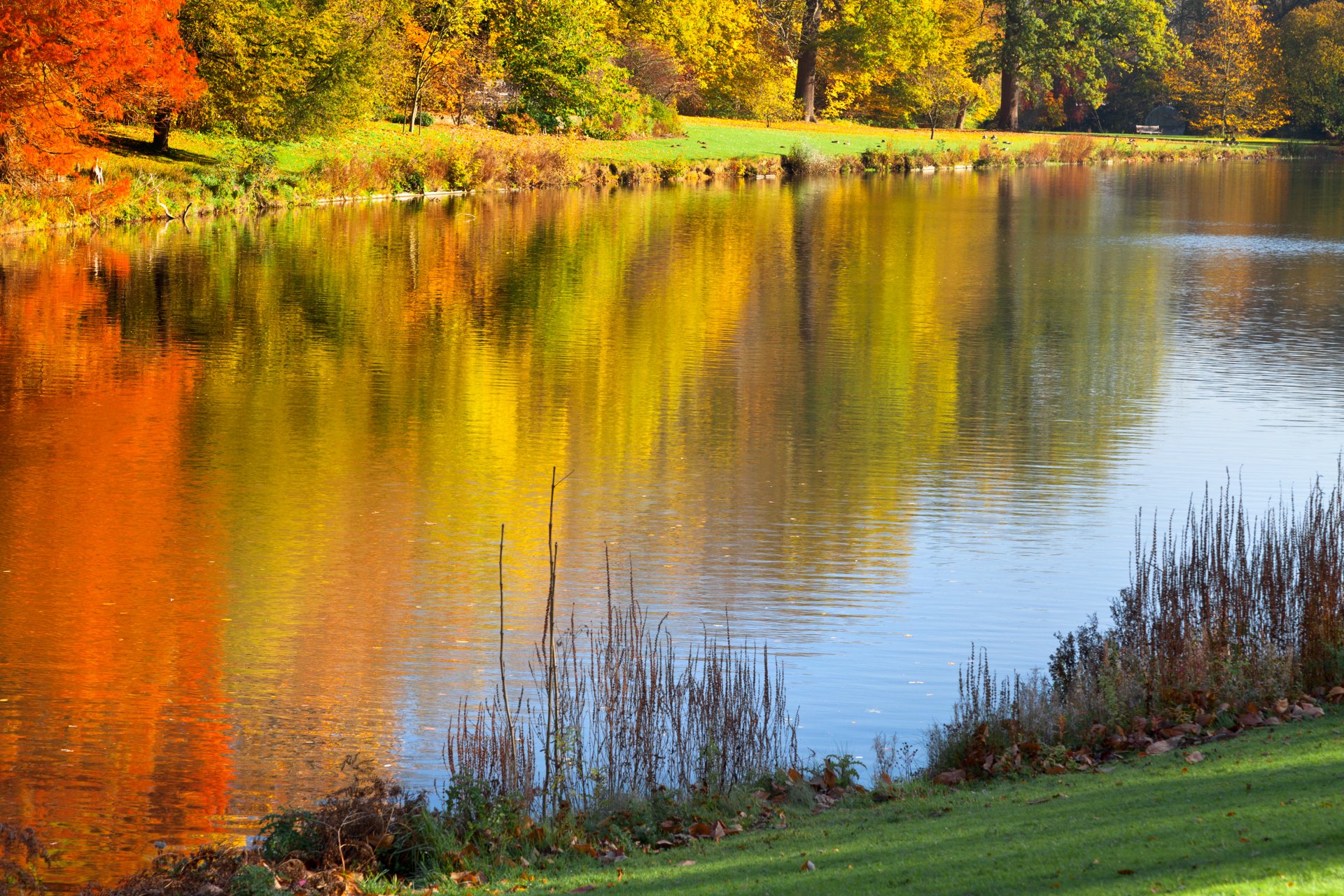 herbstpark bunte bäume bäume see natur landschaft schöne szene reflexion