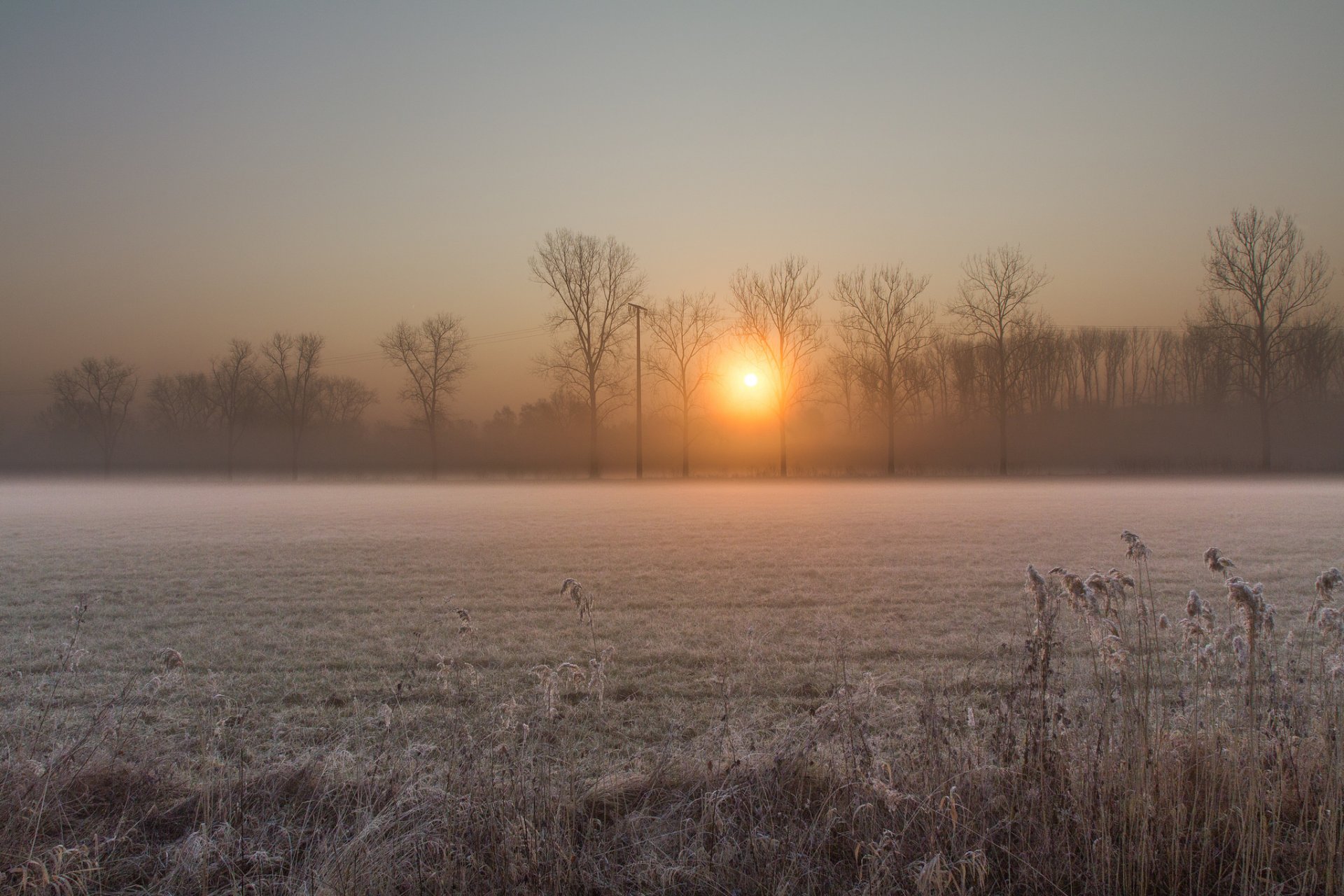 matin aube soleil lever du soleil hiver givre champ arbres