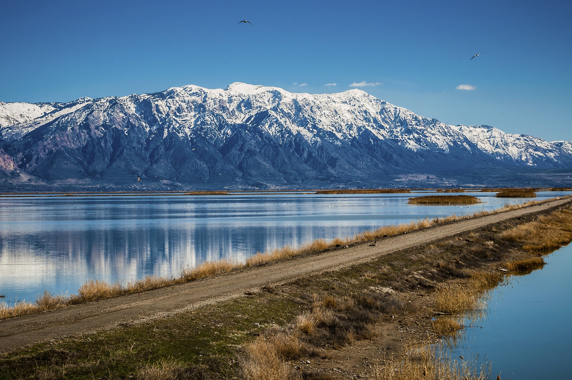 mountain lake road desert spring