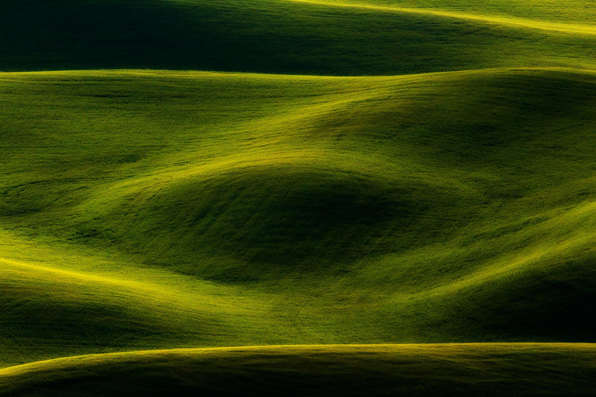 background green nature the field