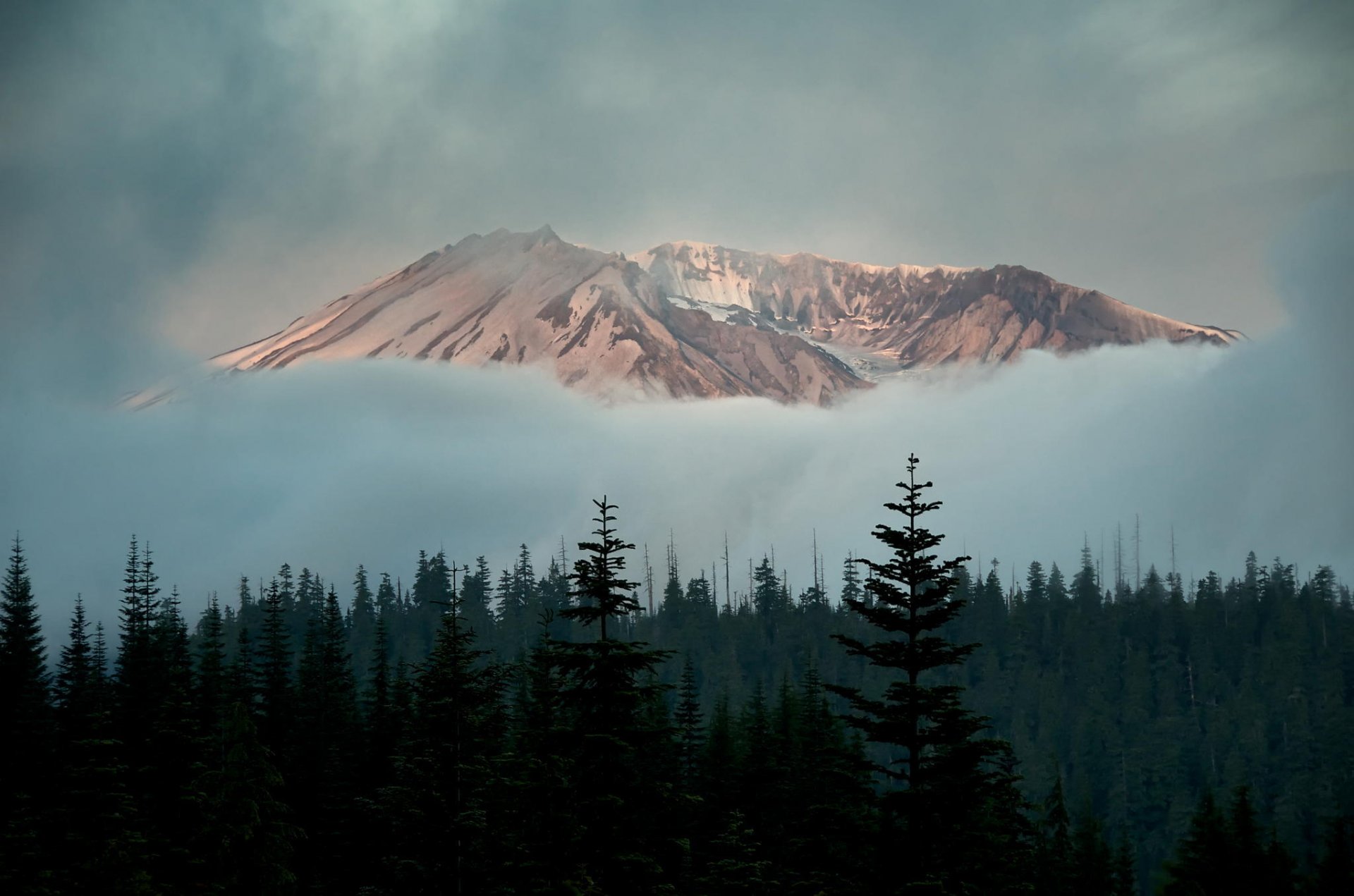 forêt montagne neige arbres nuages