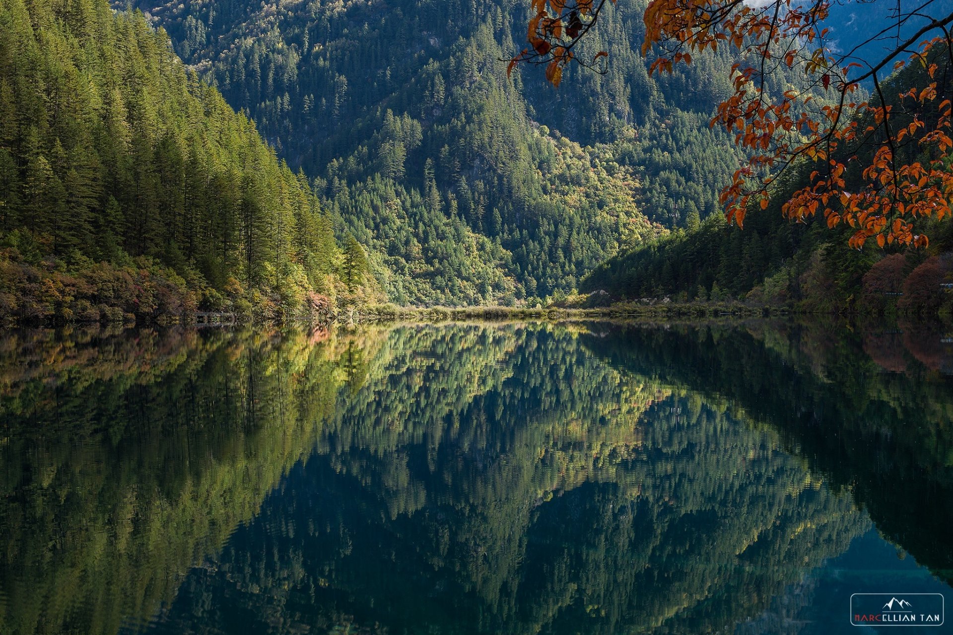 lago montagne foresta alberi mattina riflessione