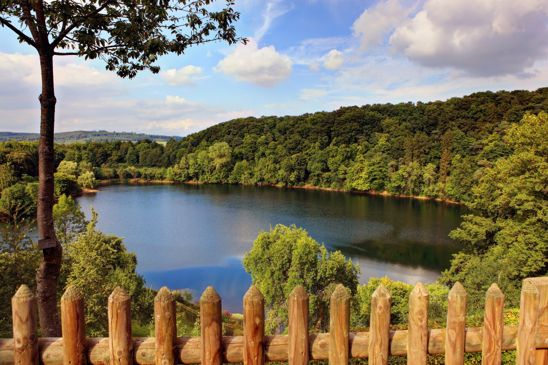 germania natura lago foresta alberi