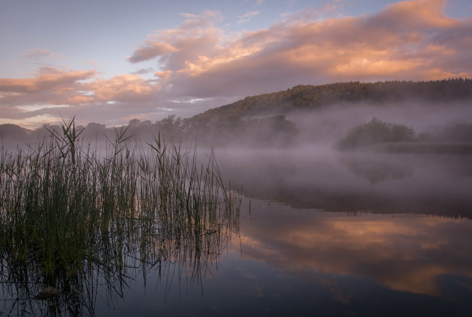 hügel wald see nebel morgen