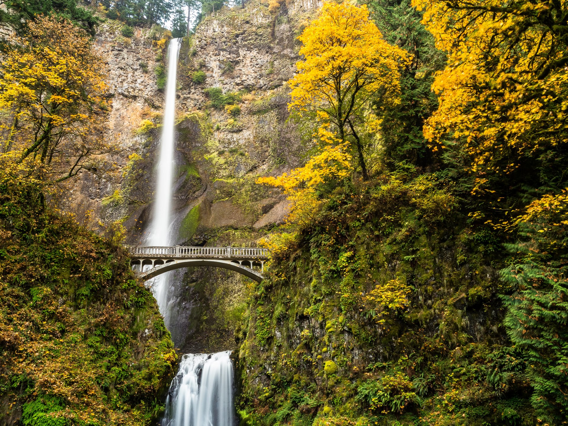 oregon usa wodospad rzeka strumień las drzewa most jesień