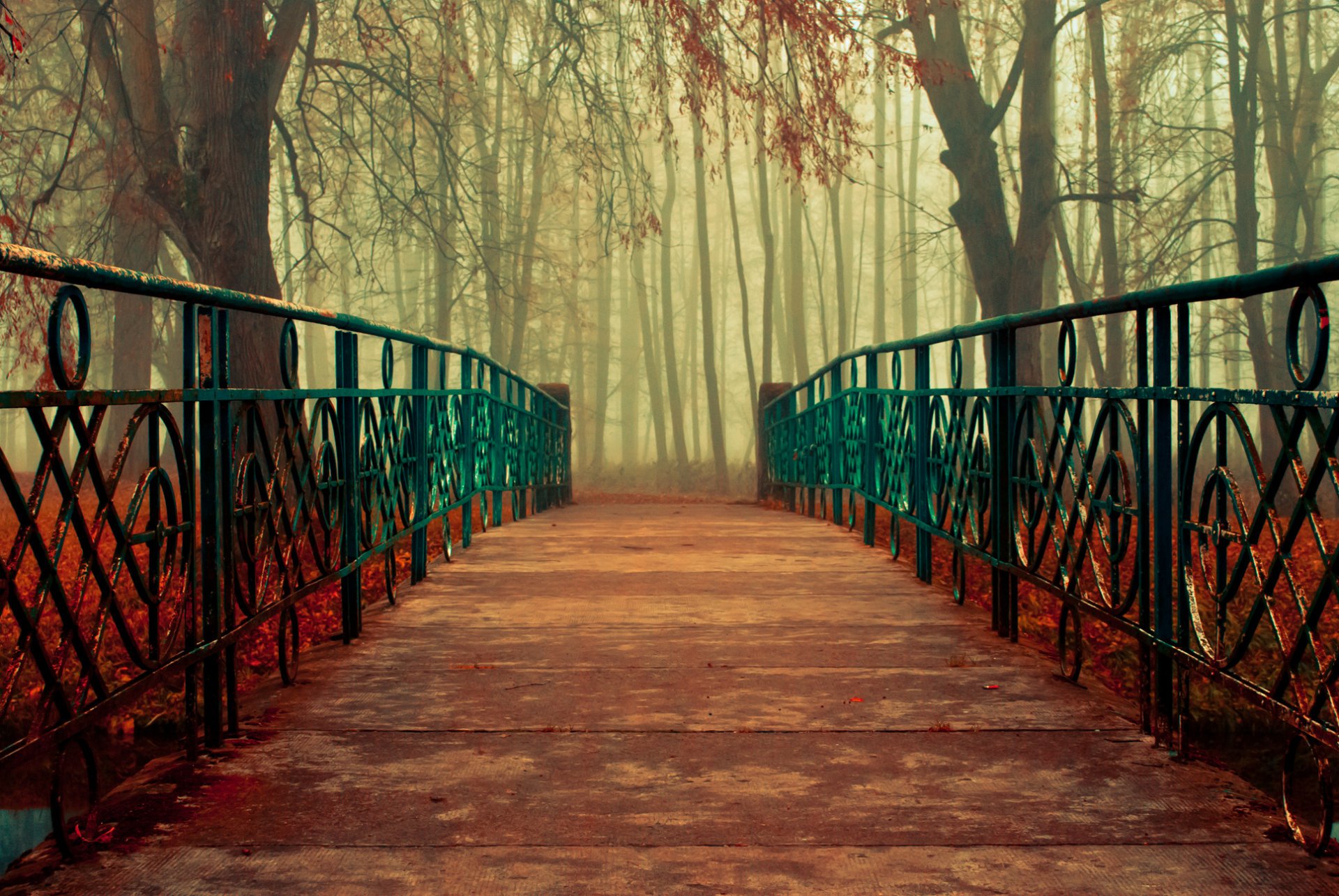 nature automne arbres feuilles pont mains courantes