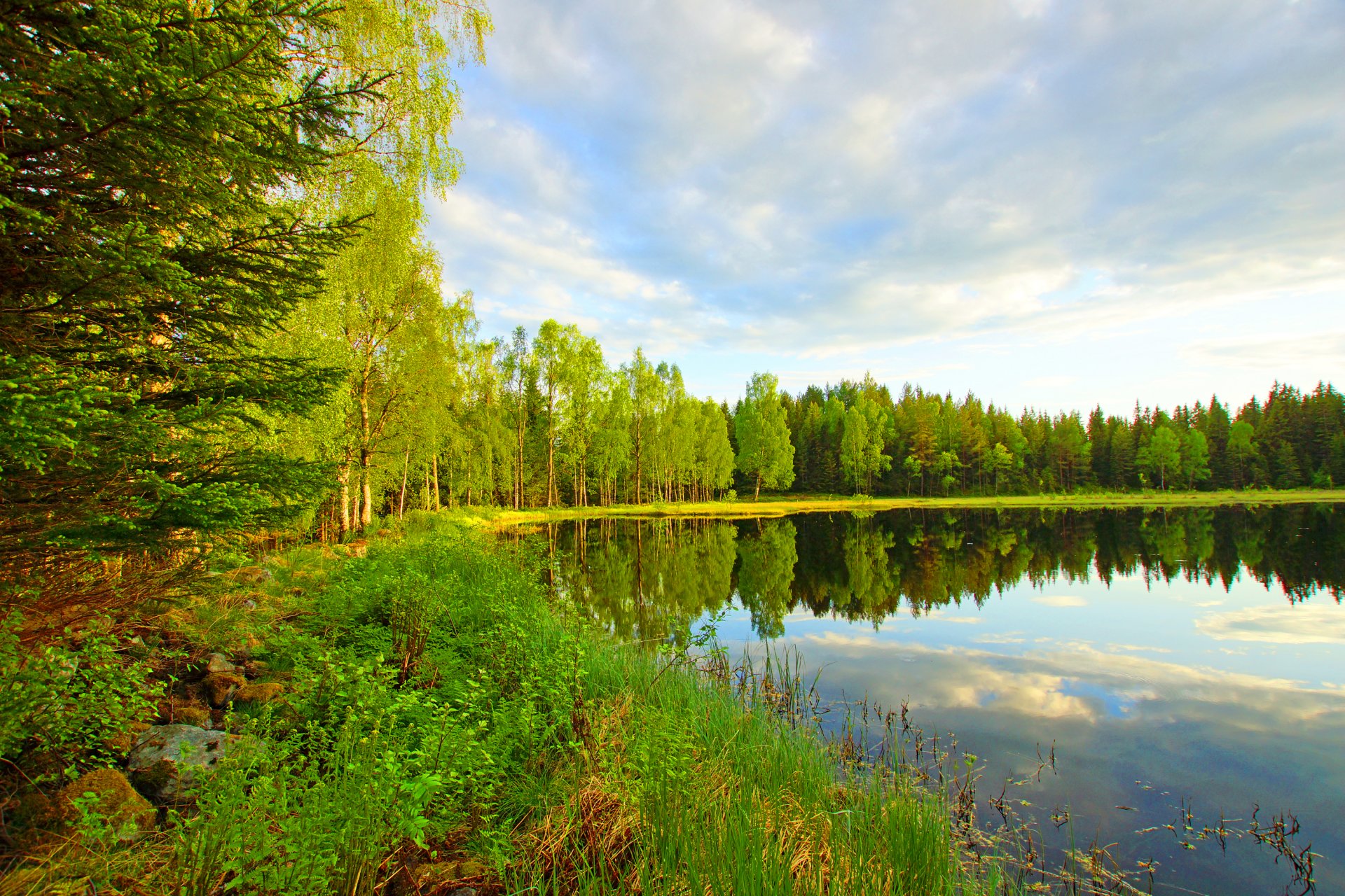 himmel wolken wald bäume fluss teich see