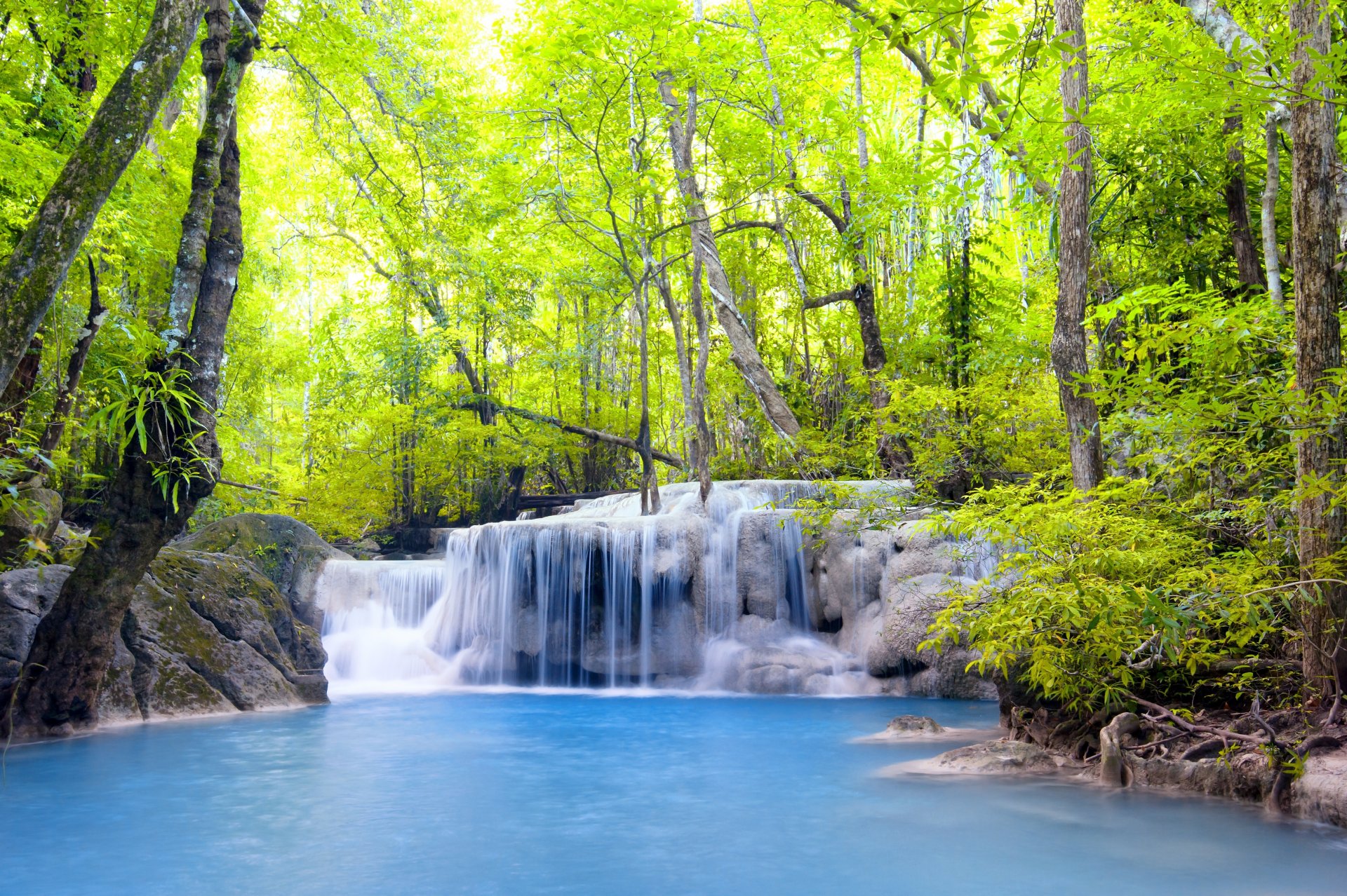 foresta cascata lago alberi