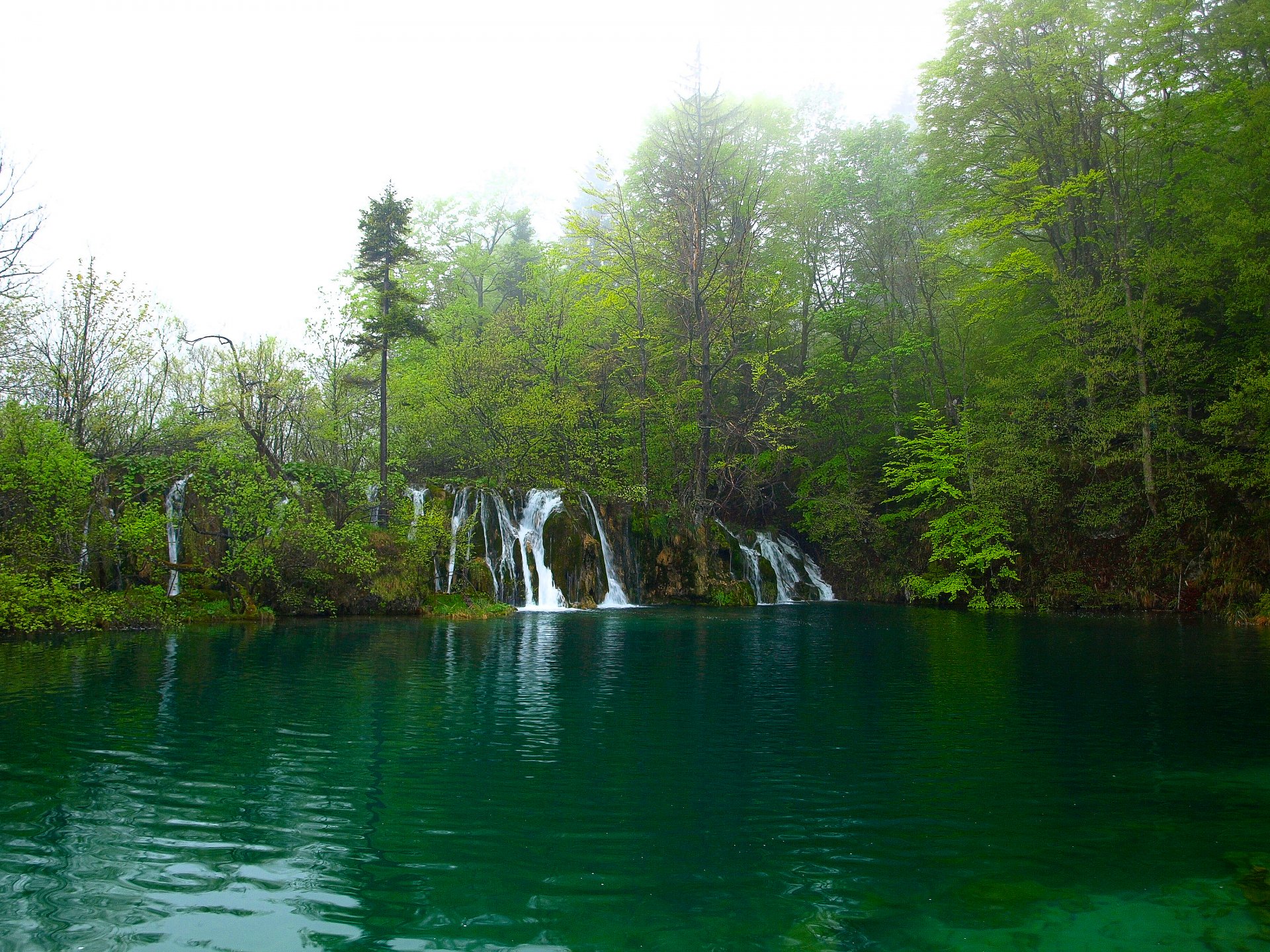 lago cascada. bosque árboles follaje