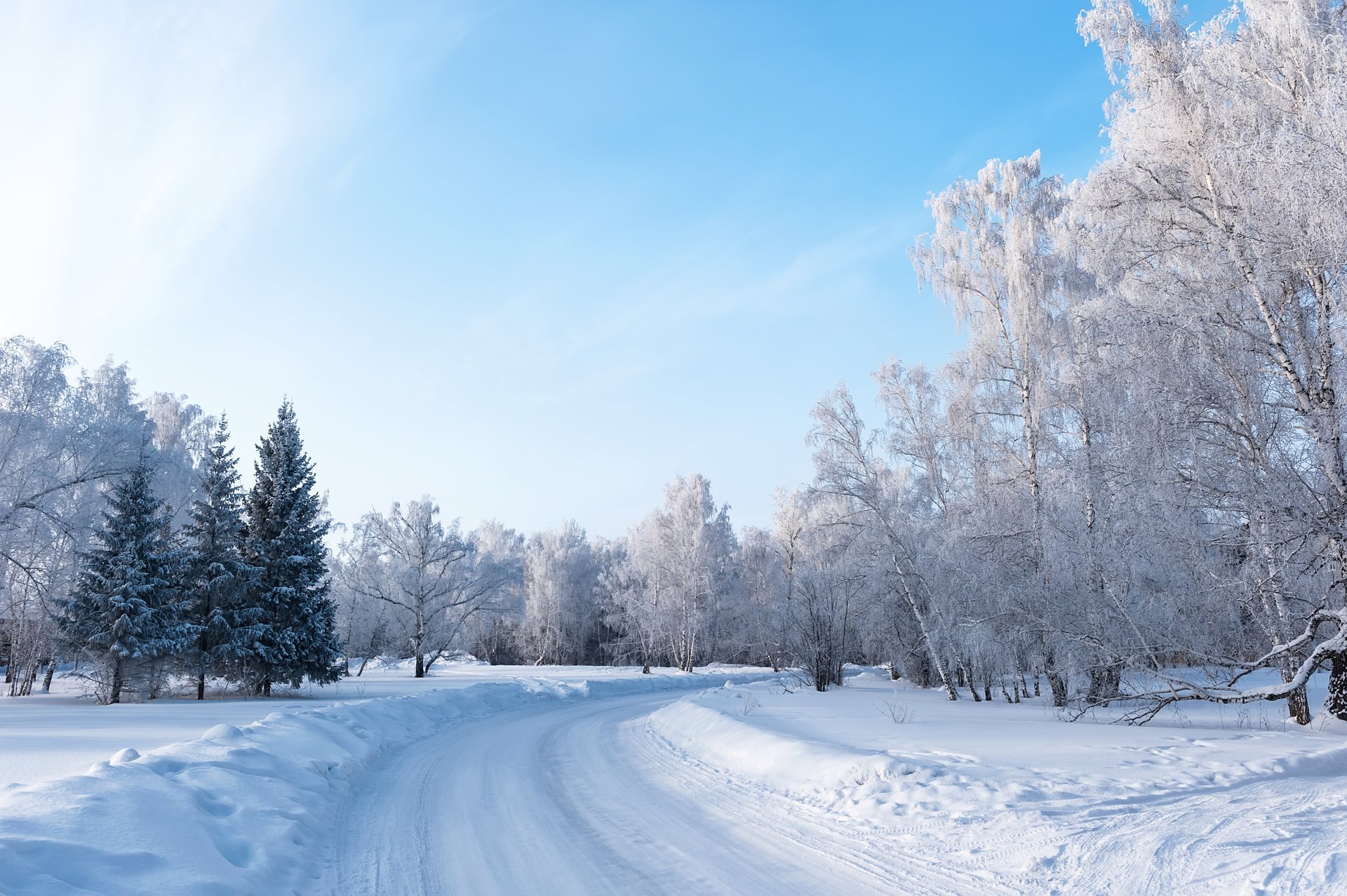 nature winter landscape tree snow