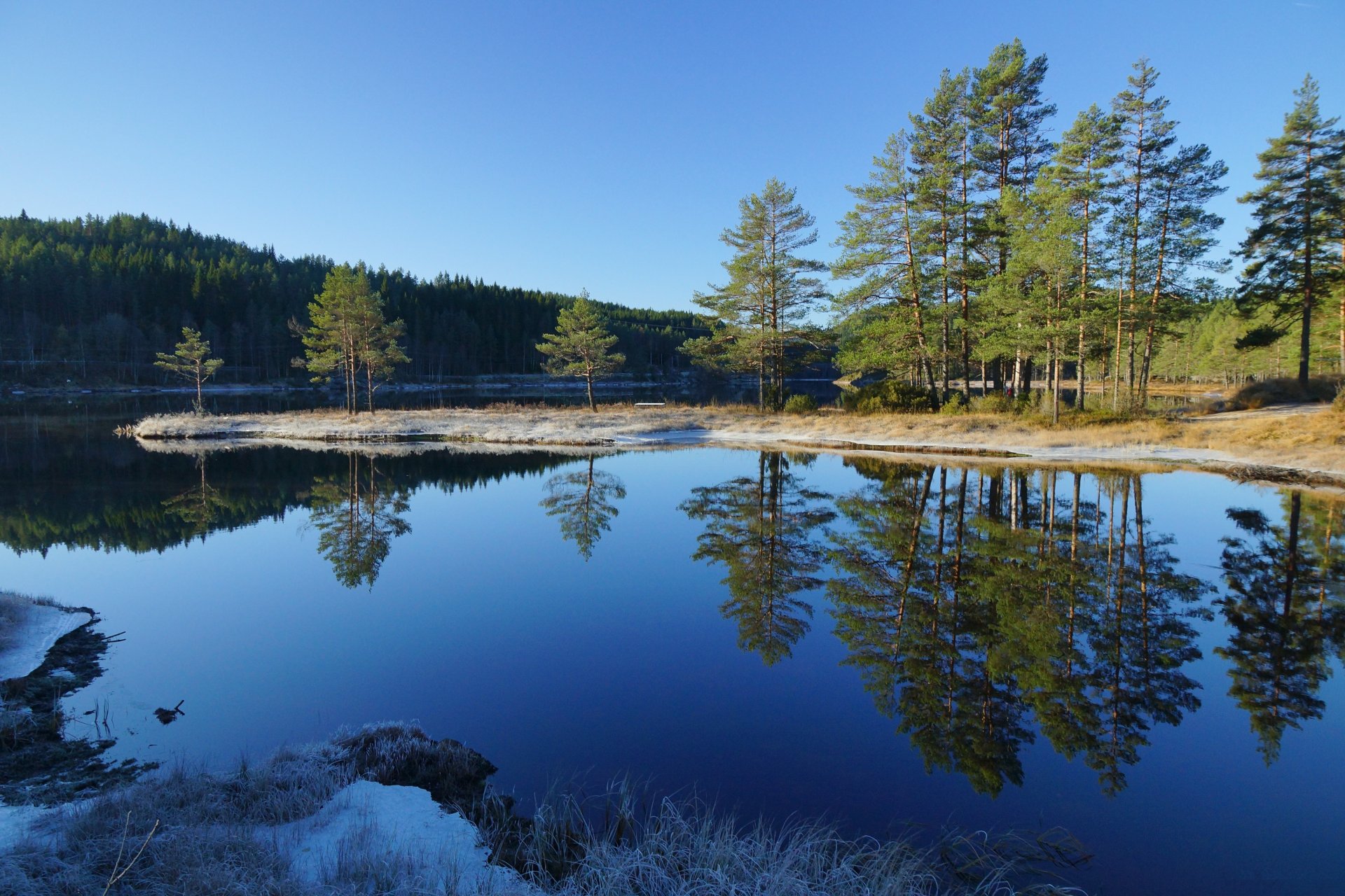 cielo foresta fiume alberi pini riflessione paesaggio