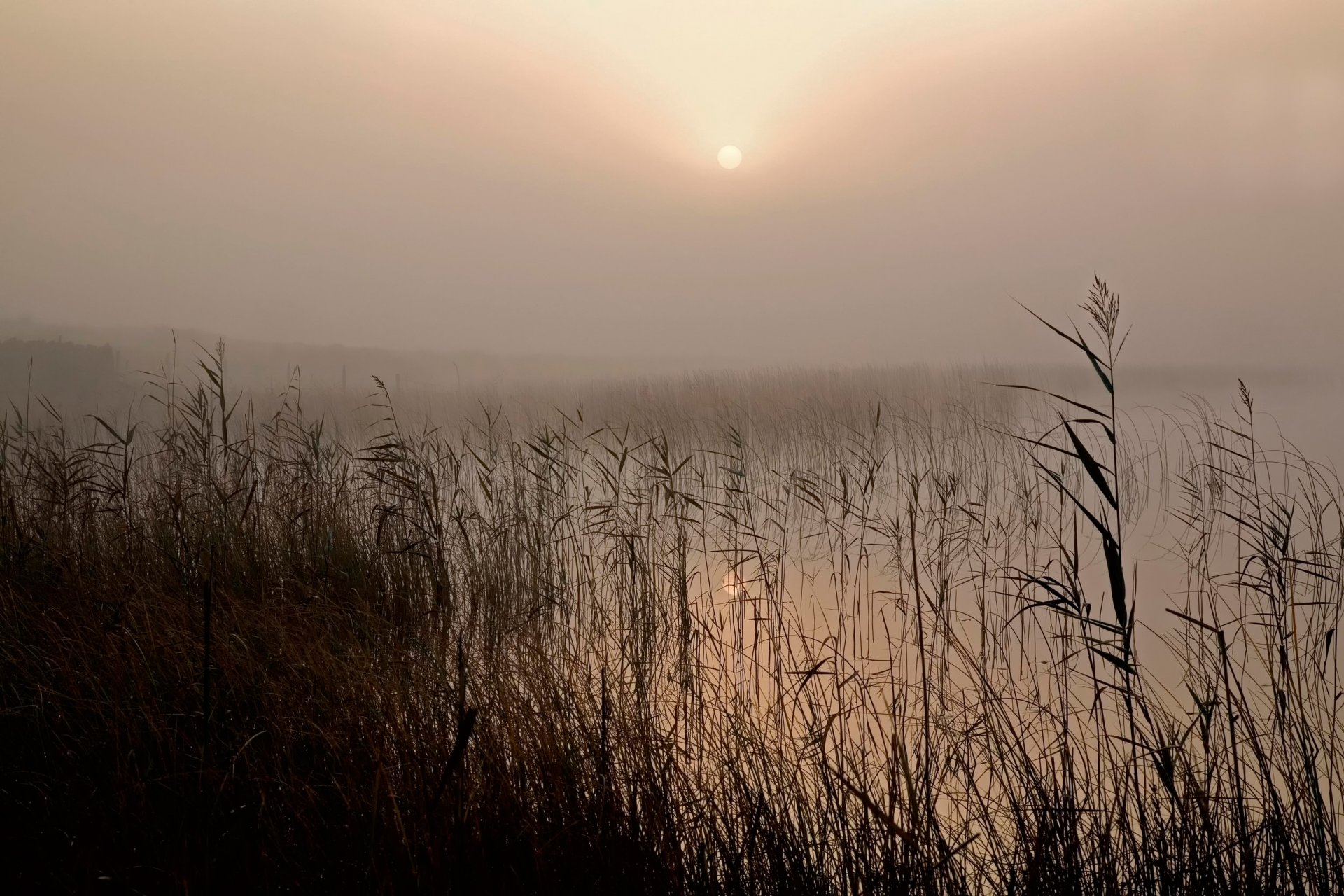 lake fog haze