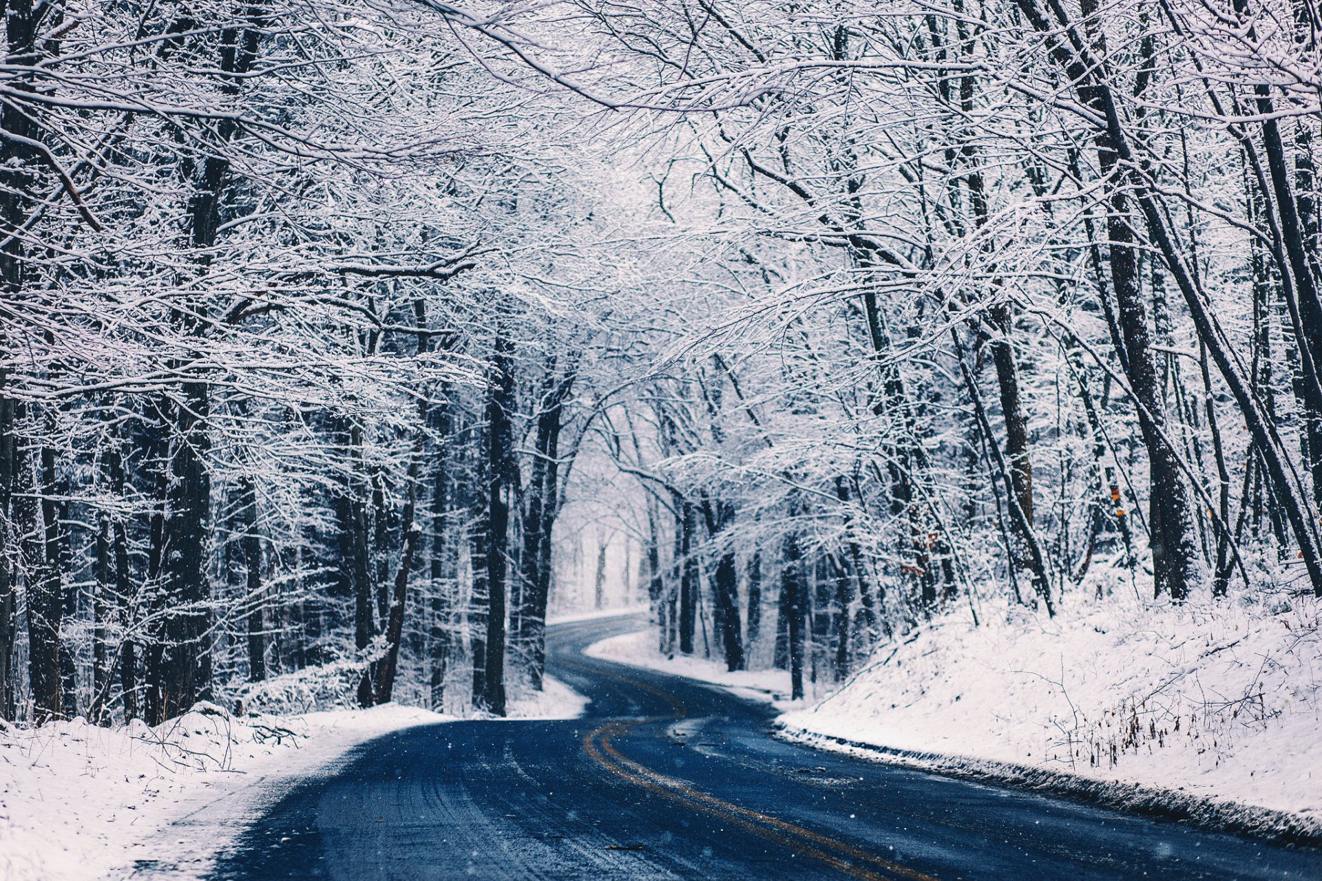 natur straße bäume pflanzen wald schnee winter