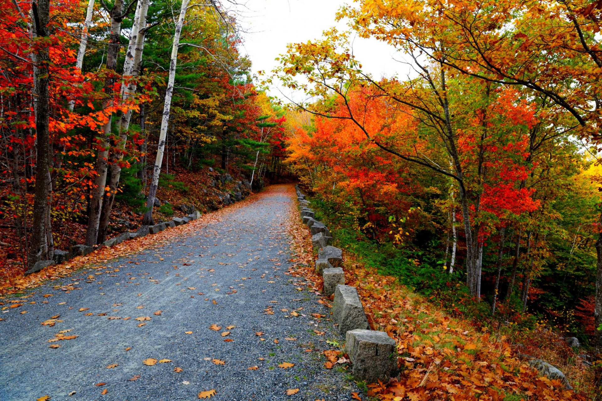 nature arbres montagne feuilles coloré route automne automne couleurs marche