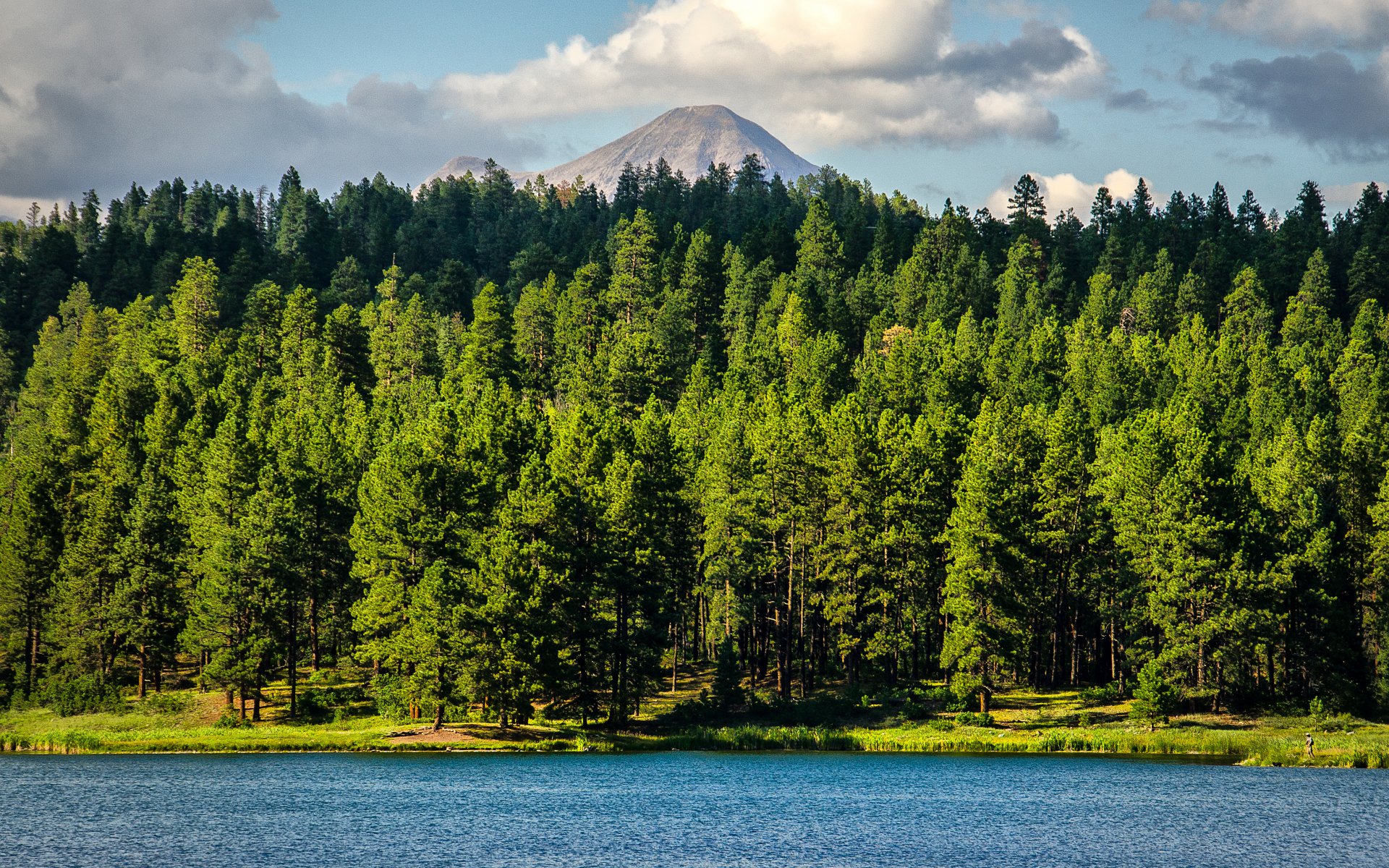 bäume wald see berg colorado