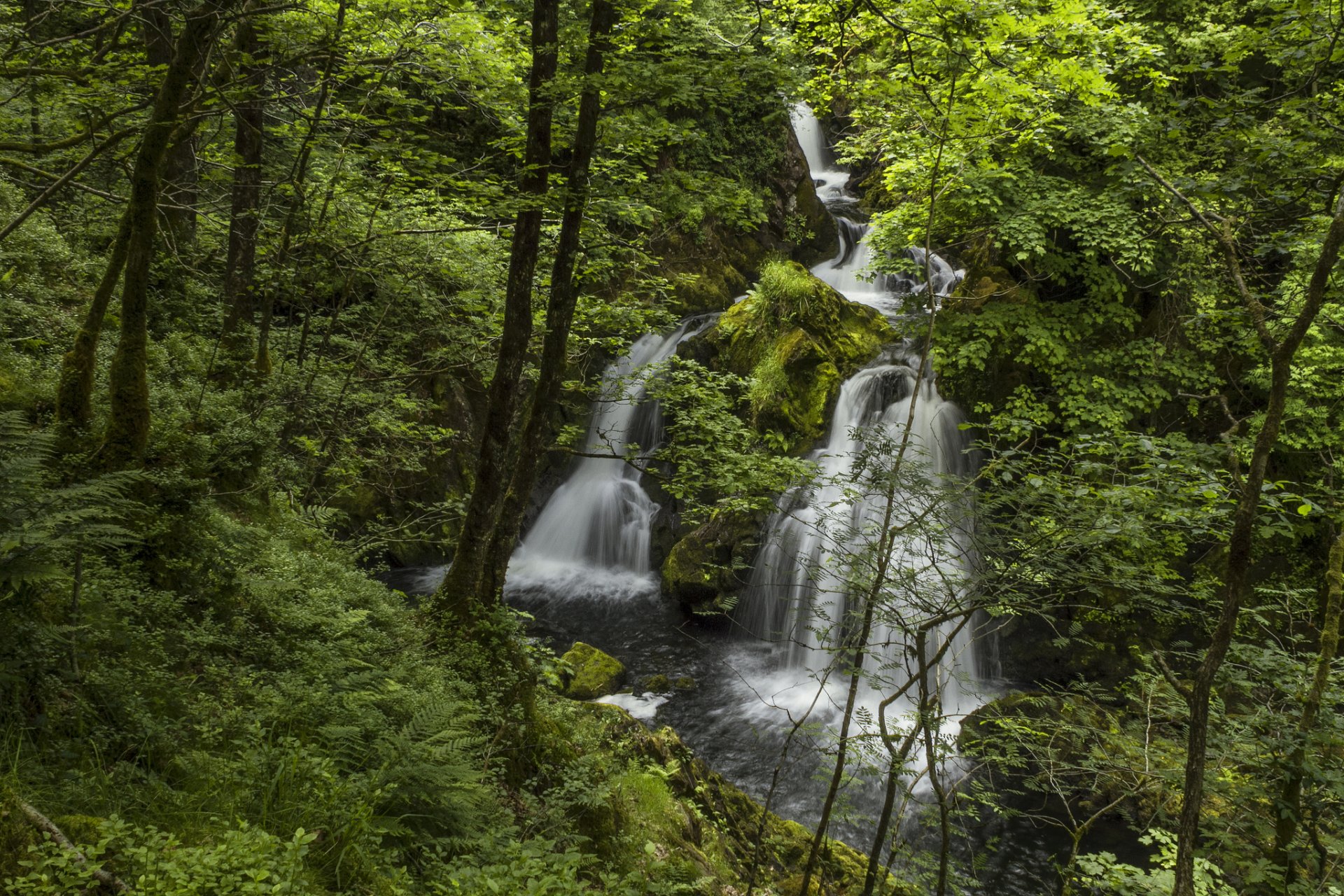 colwith силы река brathay lake district англия водопад лес река