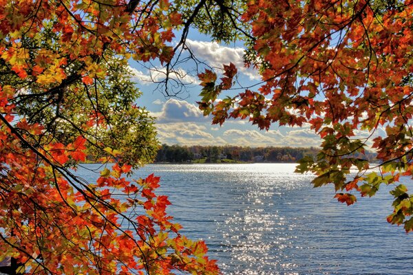 Lac bleu avec des feuilles d automne jaunes